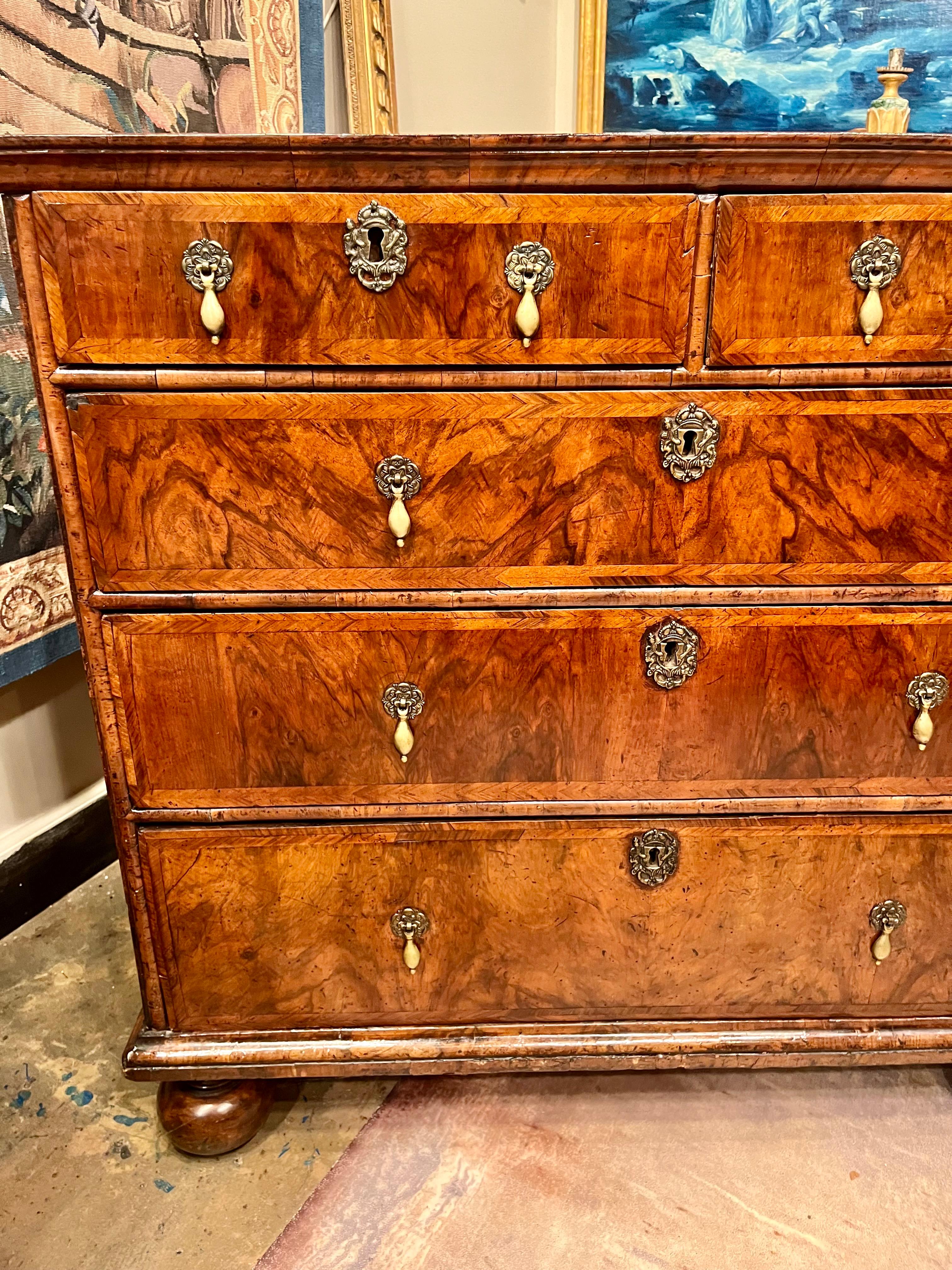 William and Mary Walnut Chest on Bun Feet . 8