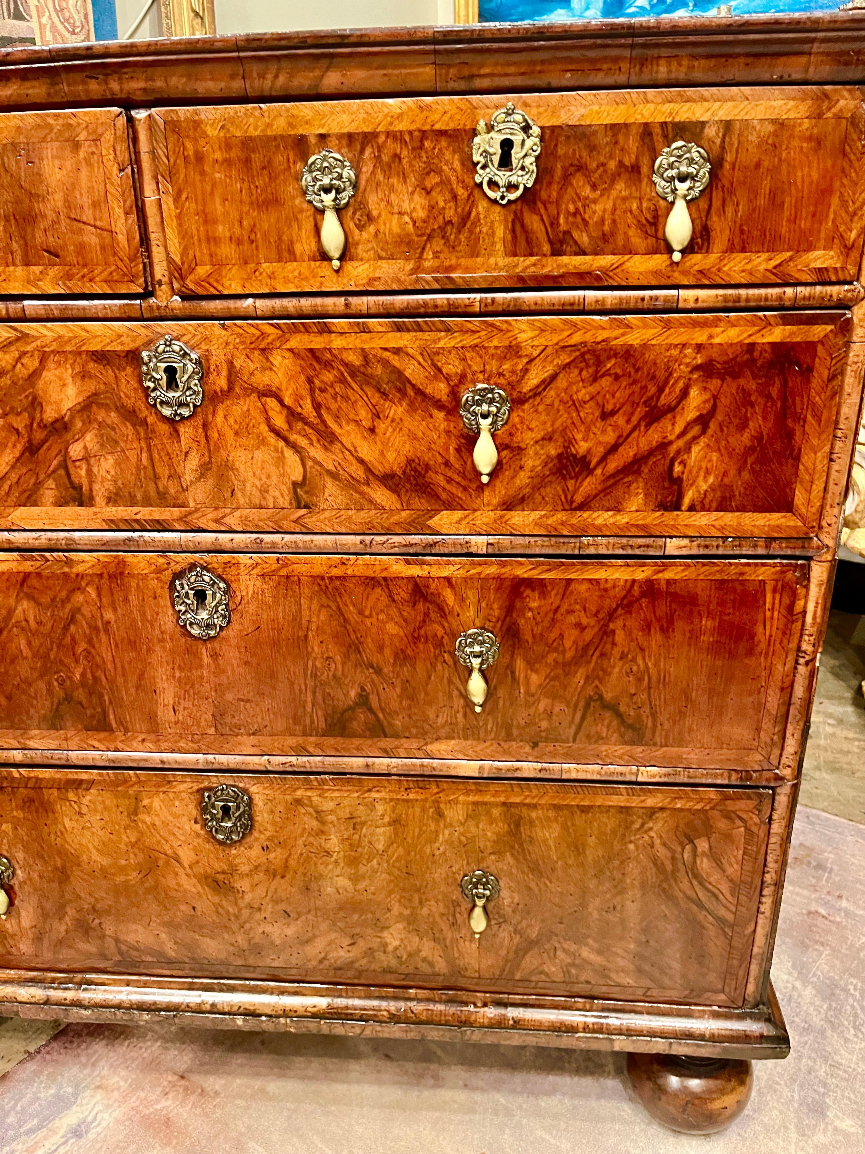 William and Mary Walnut Chest on Bun Feet . 9