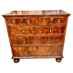 William and Mary Walnut Chest on Bun Feet .