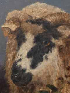 Portrait d'une tête de bélier, 19e siècle
