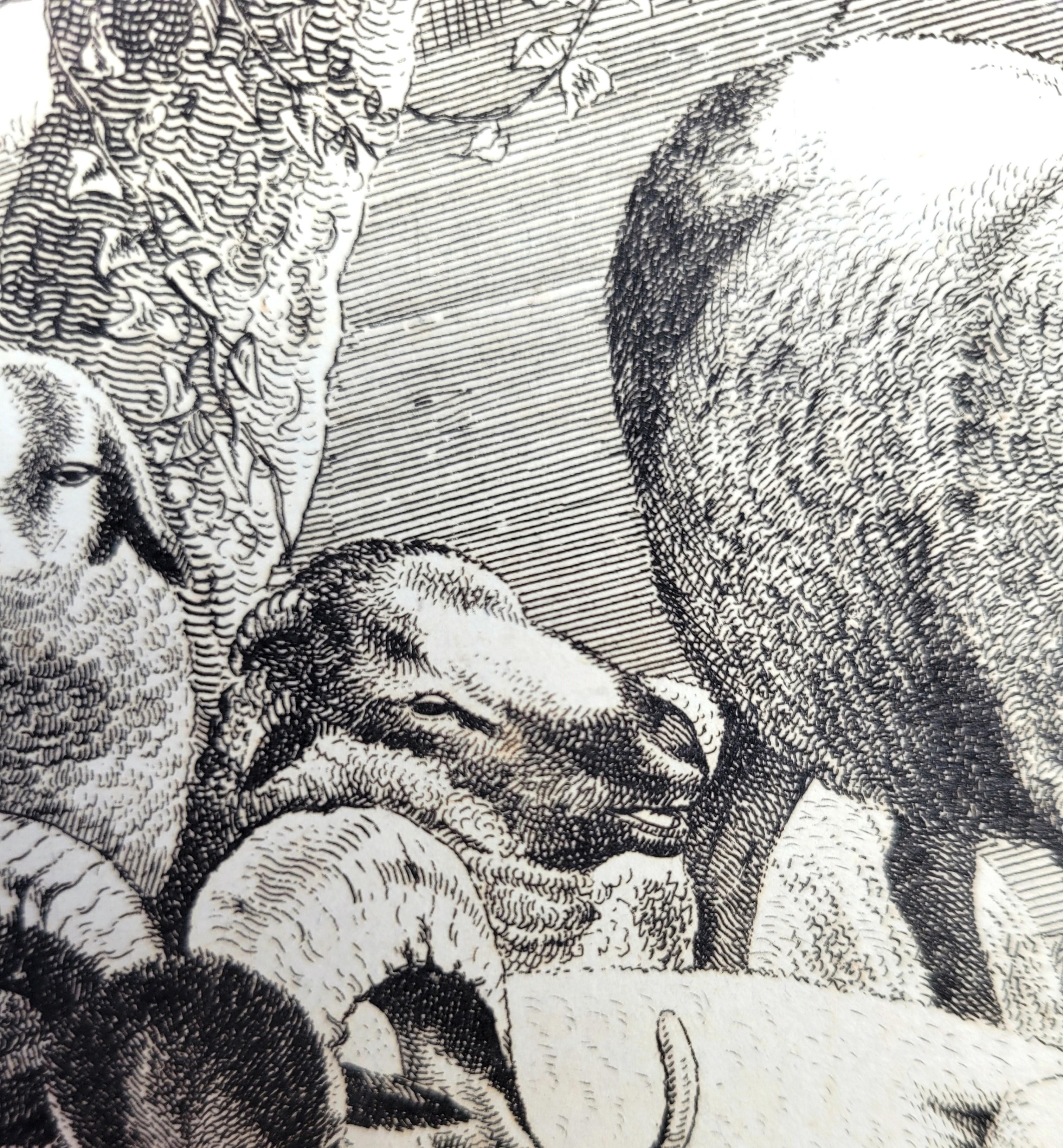 Pecora del Lincolnshire /// Osbaldiston The British Sportsman Farm Animal Herd Lamb in vendita 4
