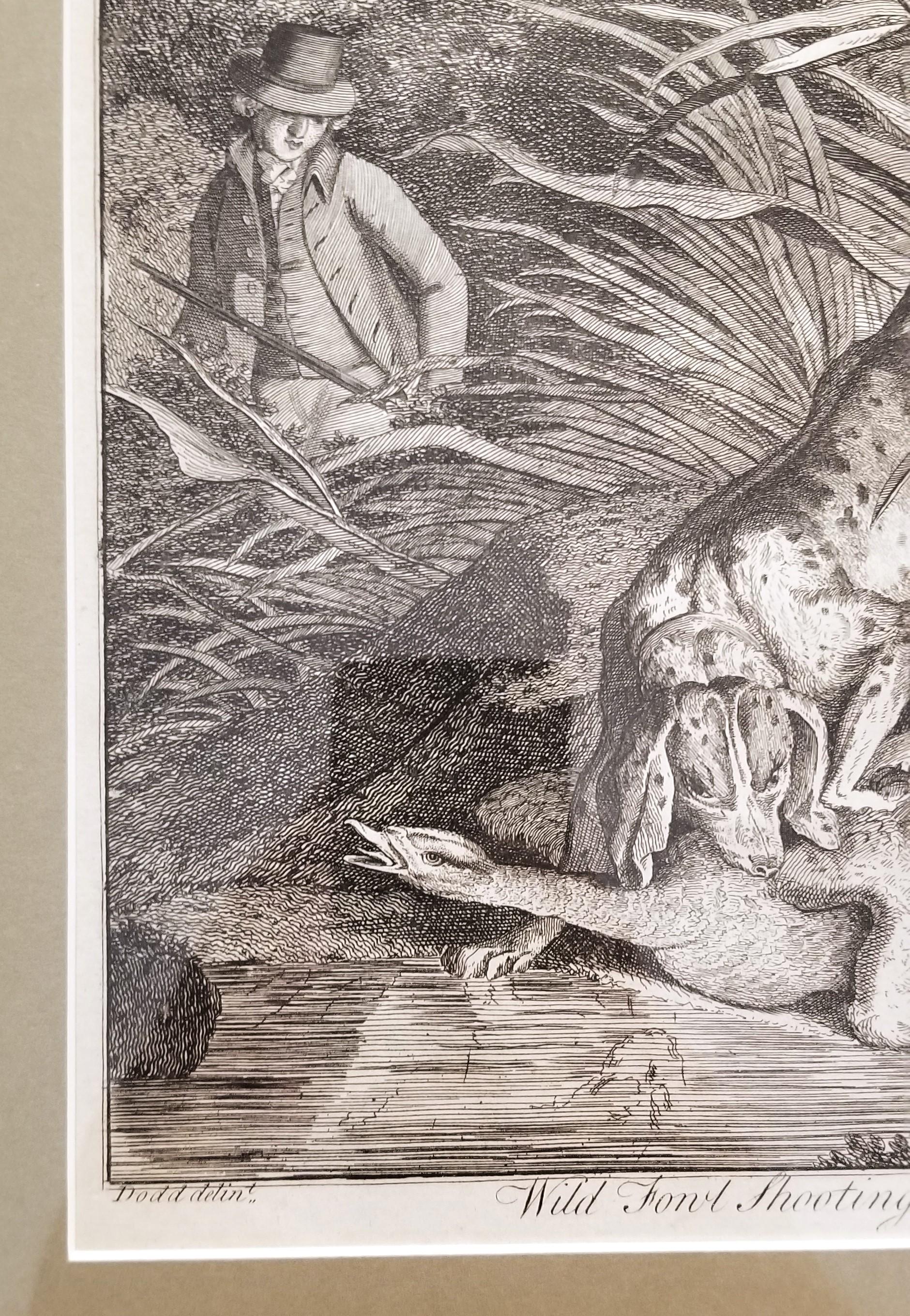 Wild Fowl Shooting /// Osbaldiston The British Sportsman Hunting Engraving Art For Sale 5