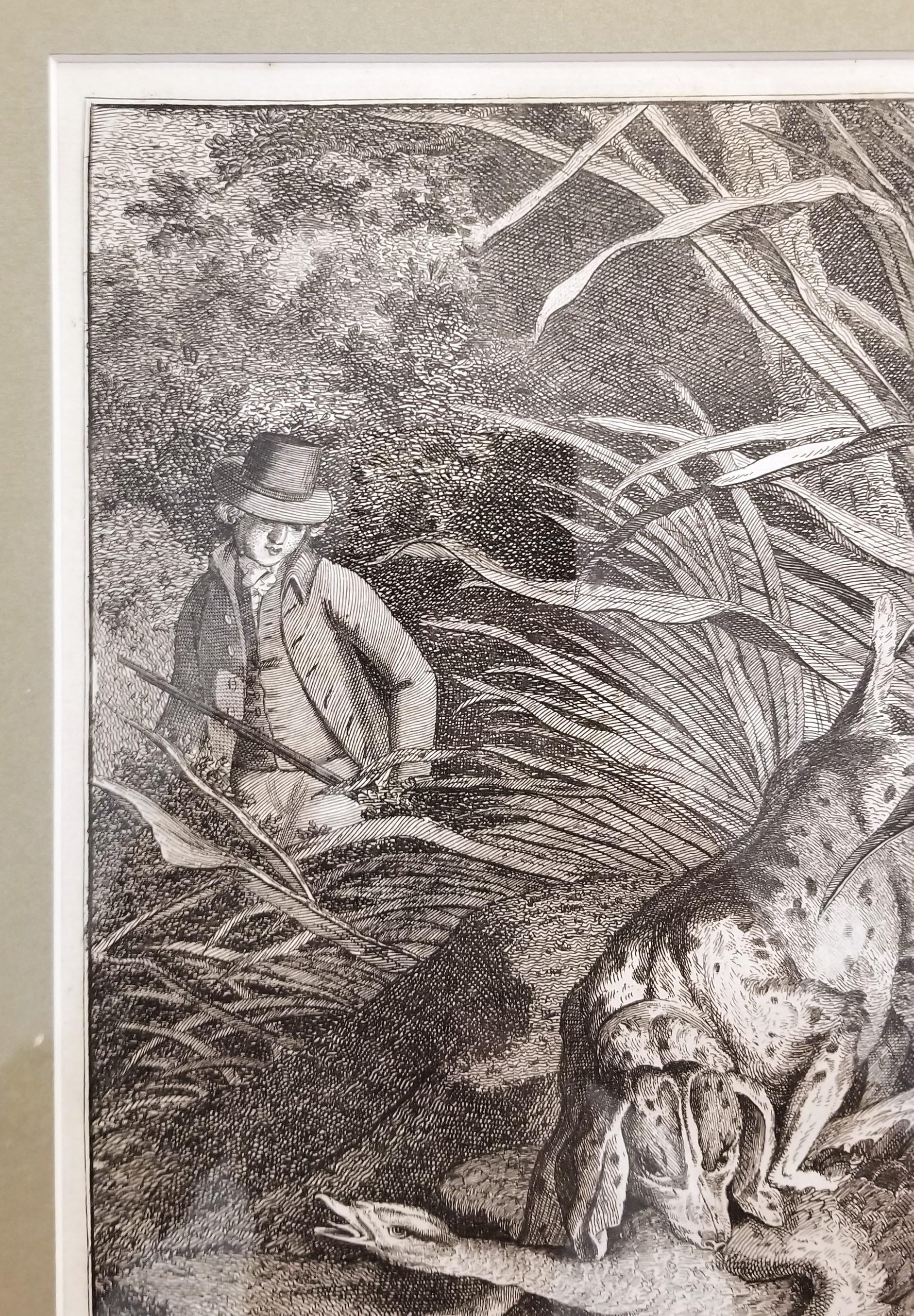 Wild Fowl Shooting /// Osbaldiston The British Sportsman Hunting Engraving Art For Sale 6