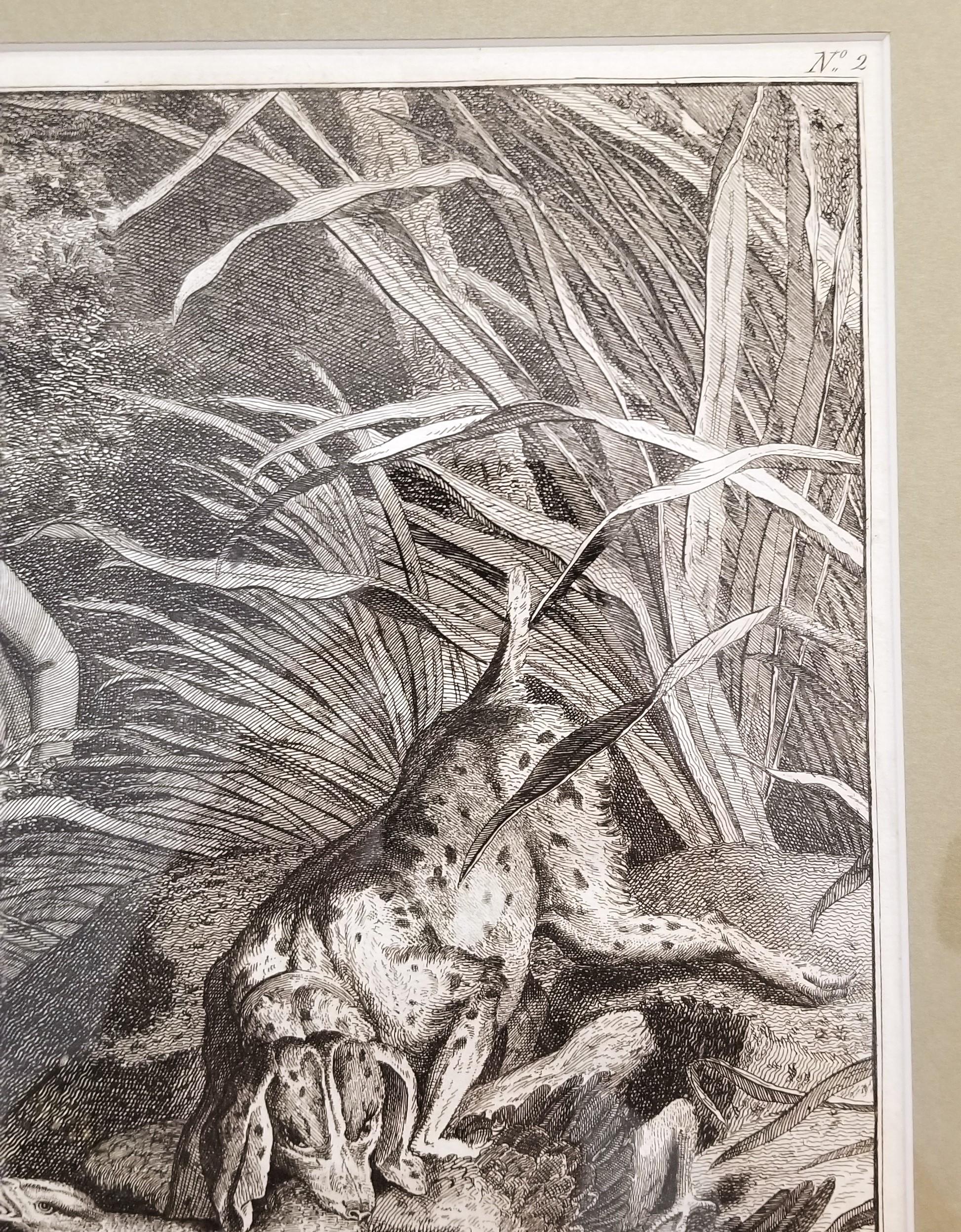 Wild Fowl Shooting /// Osbaldiston The British Sportsman Hunting Engraving Art For Sale 7