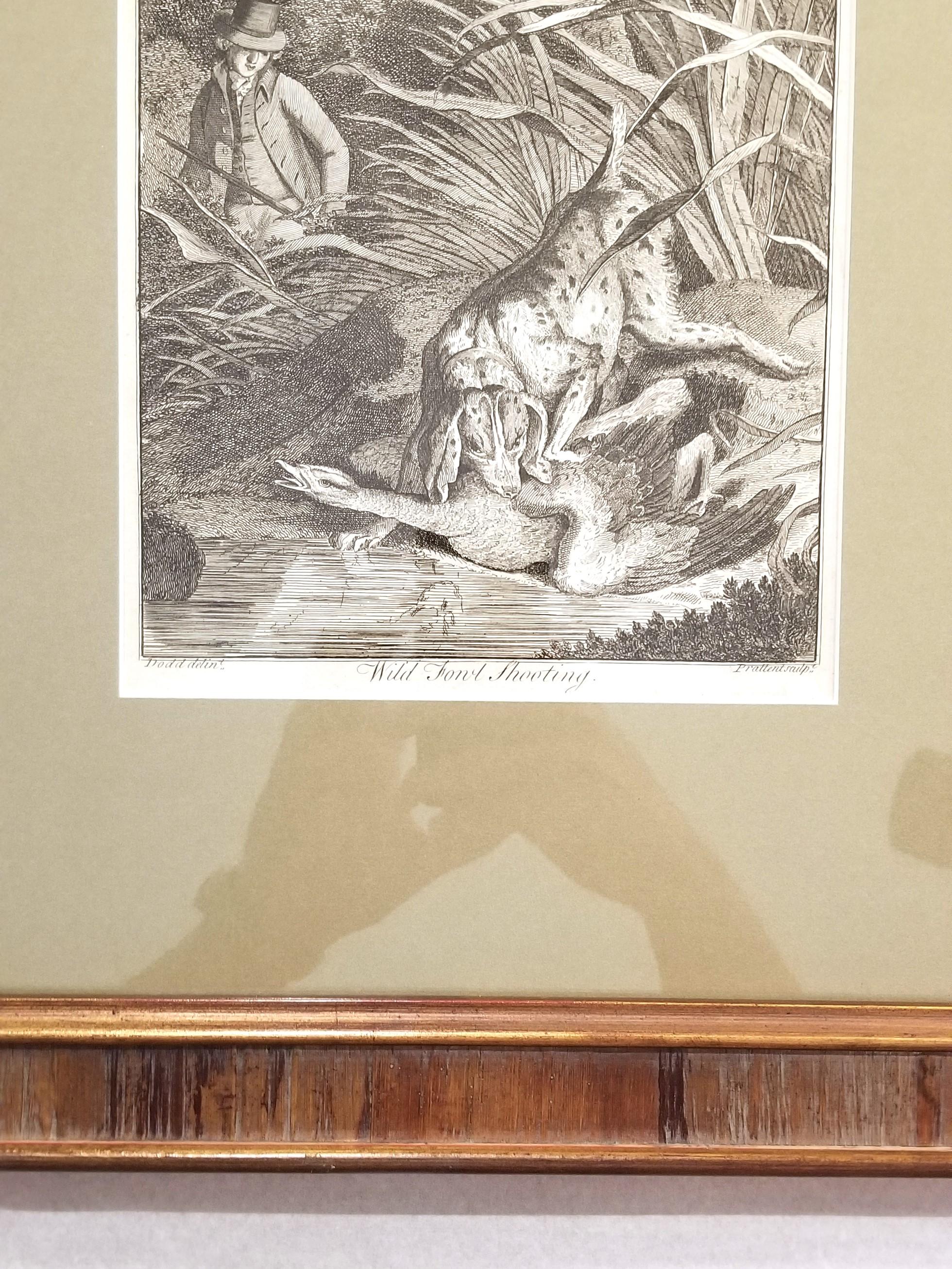 Wild Fowl Shooting /// Osbaldiston The British Sportsman Hunting Engraving Art For Sale 4