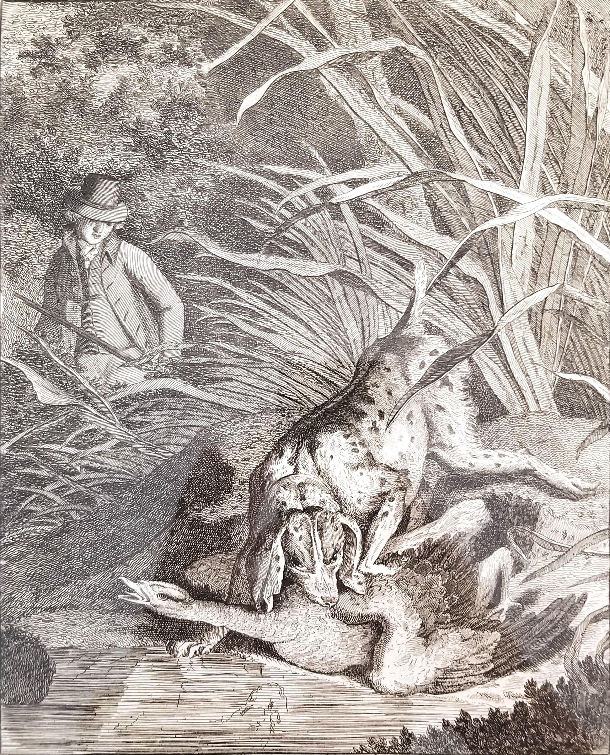 Tiro agli uccelli selvatici /// Osbaldiston The British Sportsman Hunting Engraving Art