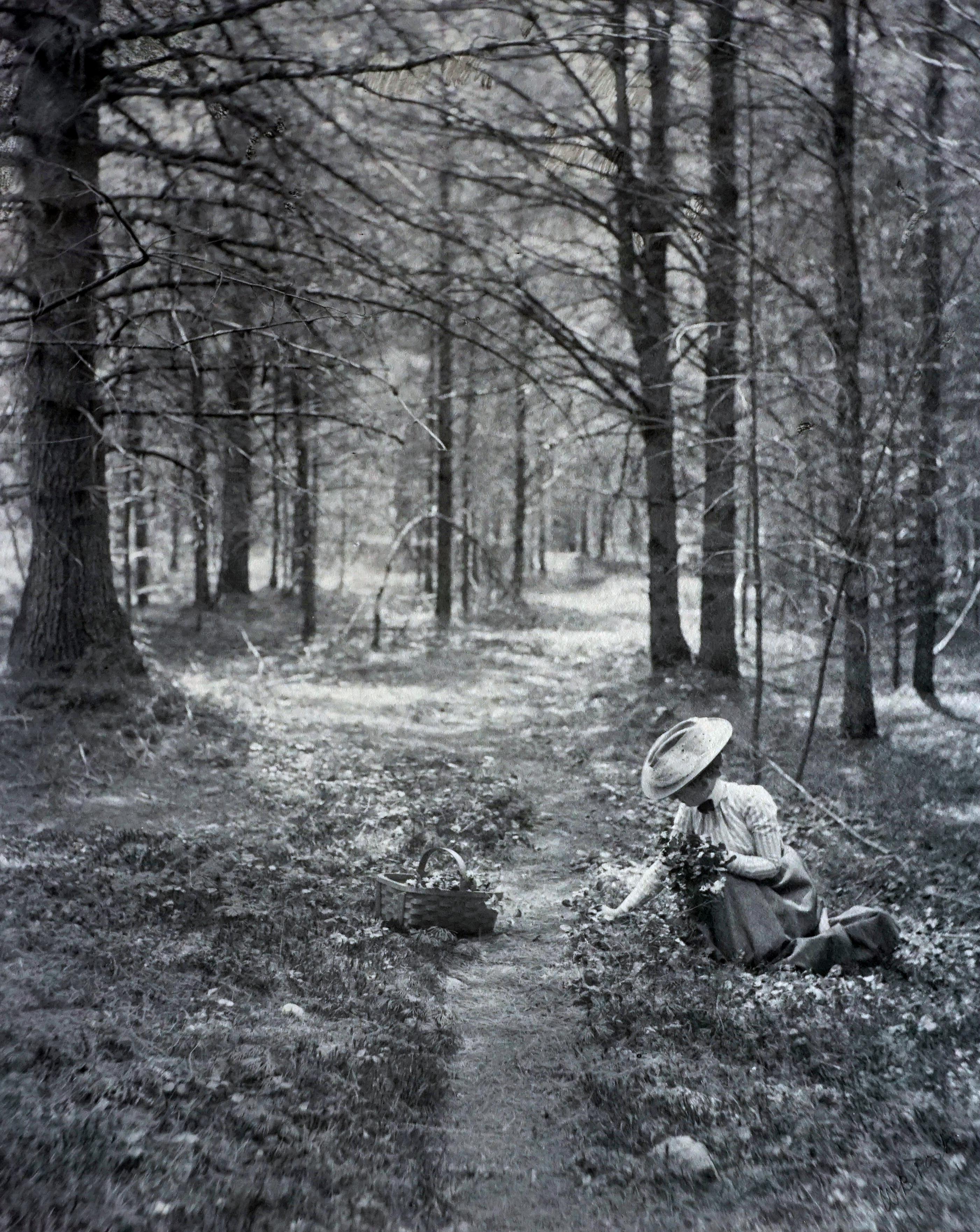 William B. Post Black and White Photograph - Woman Picking Flowers, 1900