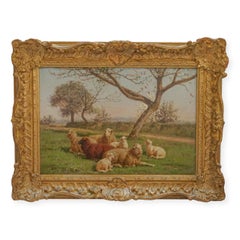 Family of sheeps resting under Apple Blossom Tree