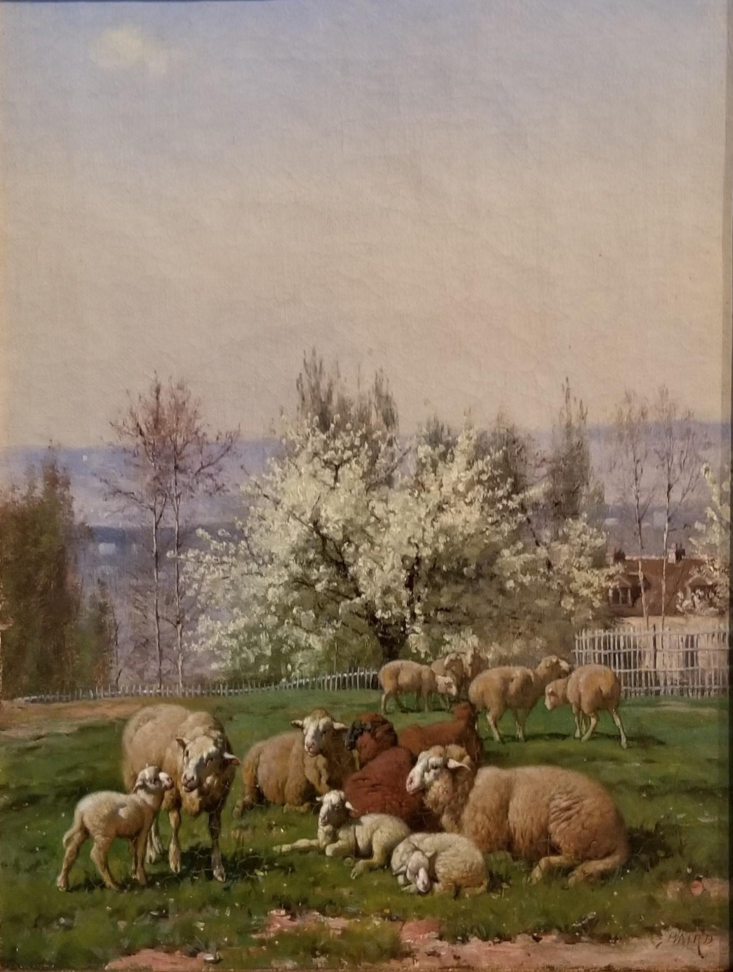 Sheep and Lambs in a Spring Meadow - Painting by William Baptiste Baird
