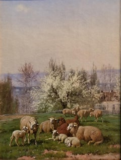 Sheep and Lambs in a Spring Meadow