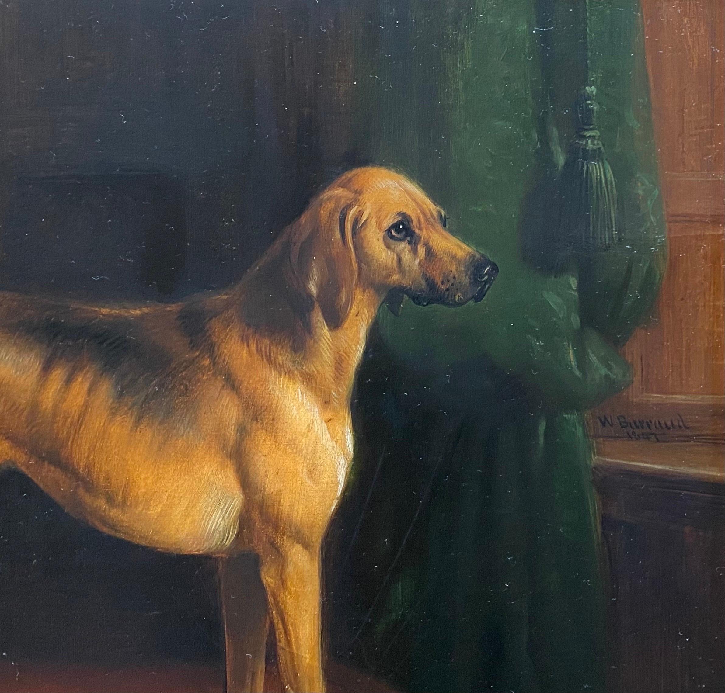 19th century portrait of a Great Dane dog in an interior, signed and dated 1847 - Painting by William Barraud