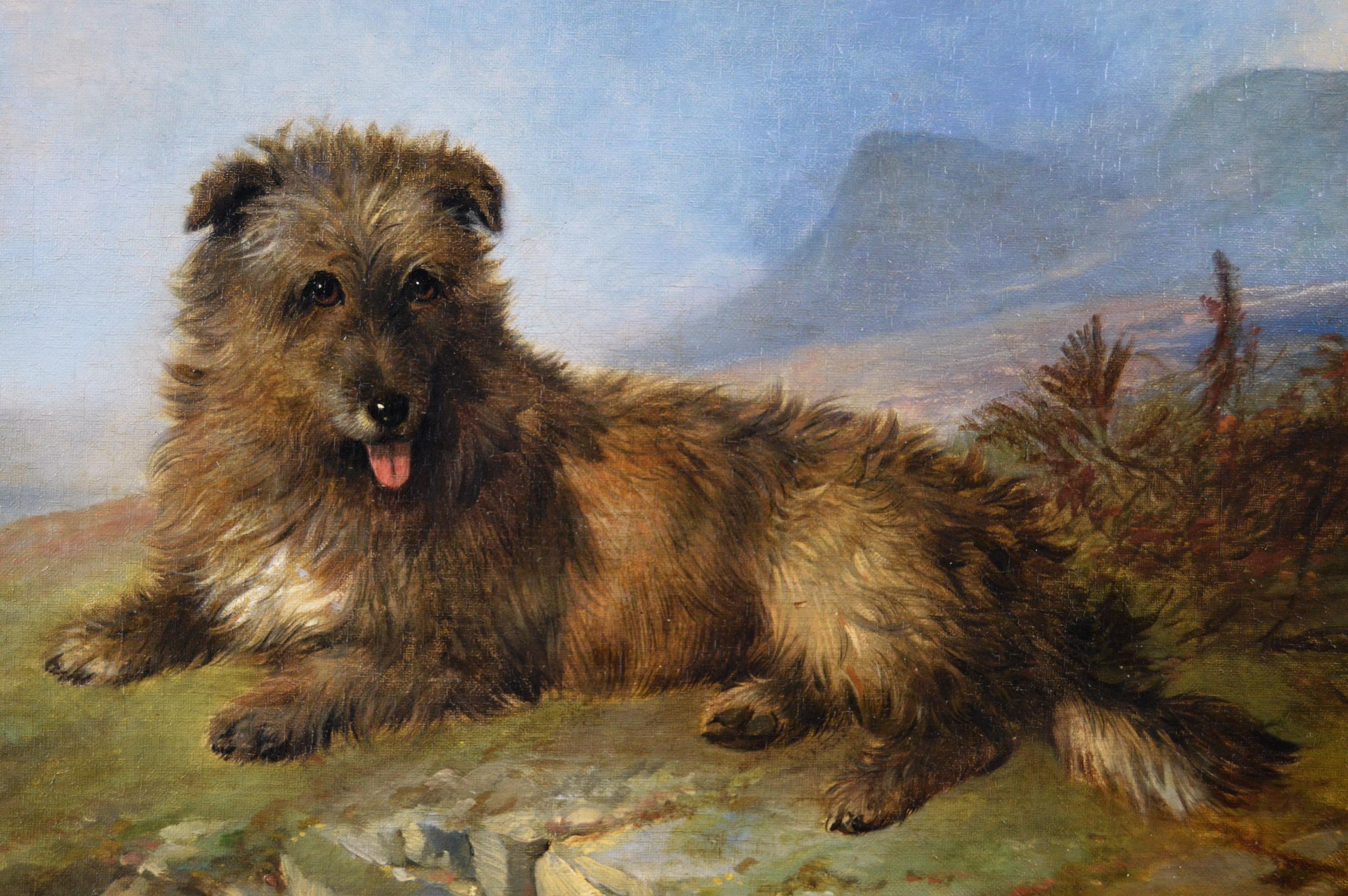 cairn terrier painting