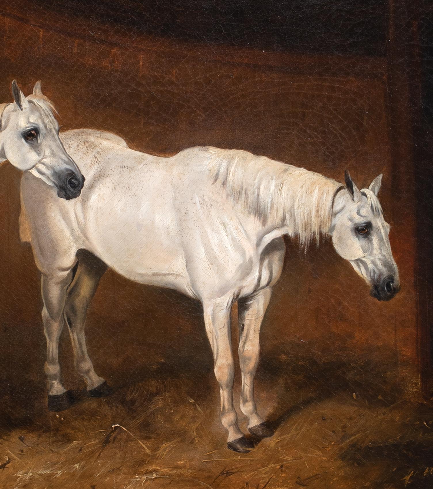 Two White Horses In A Stable, 19th Century

circle of William BARRAUD (1810-1850)

Large 19th Century English stable scene of two white horses, oil on canvas. Excellent quality and condition study presneted in its original antique gilt frame.