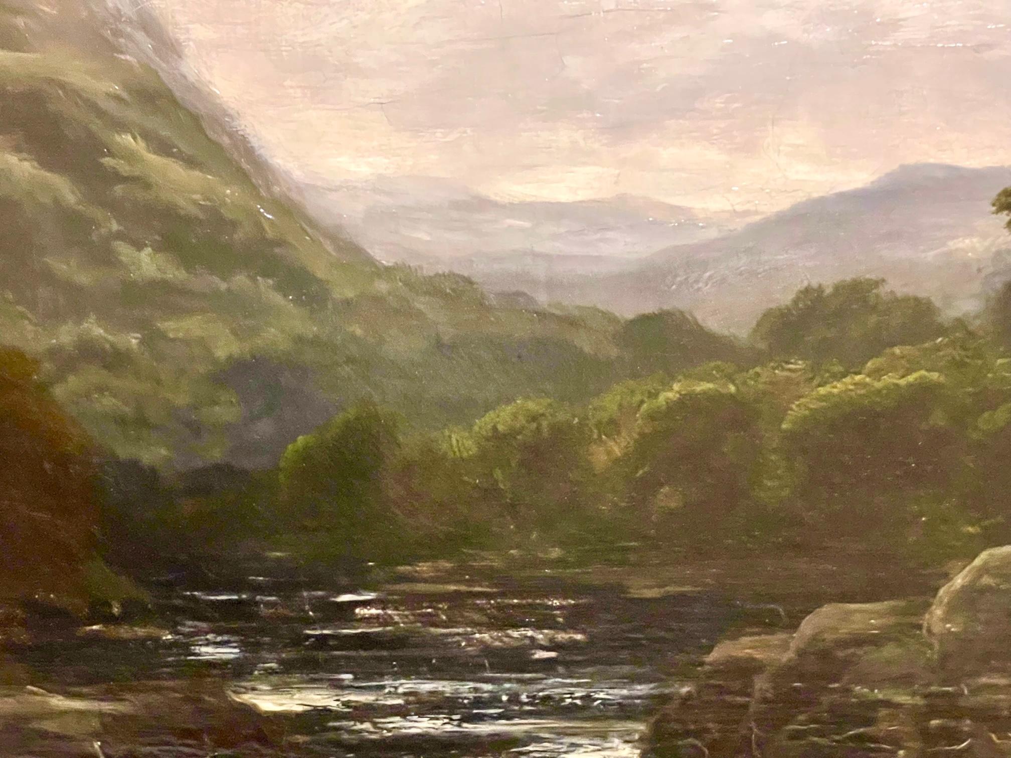 Fiume Highland in piena in vendita 6