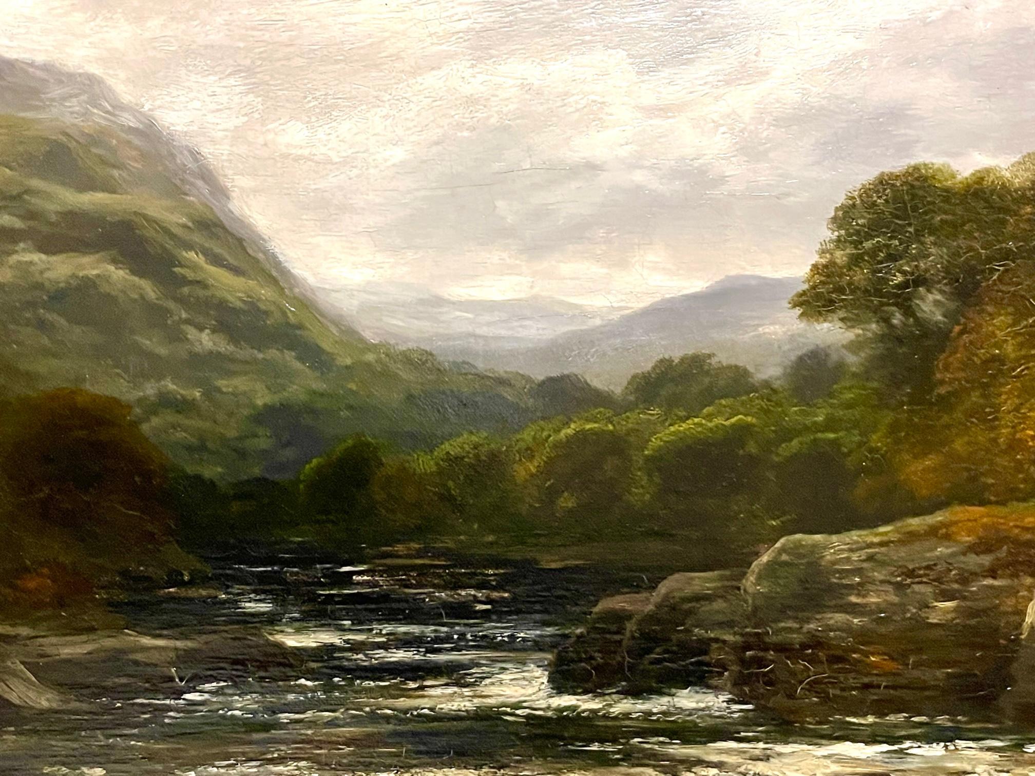 Fiume Highland in piena in vendita 7