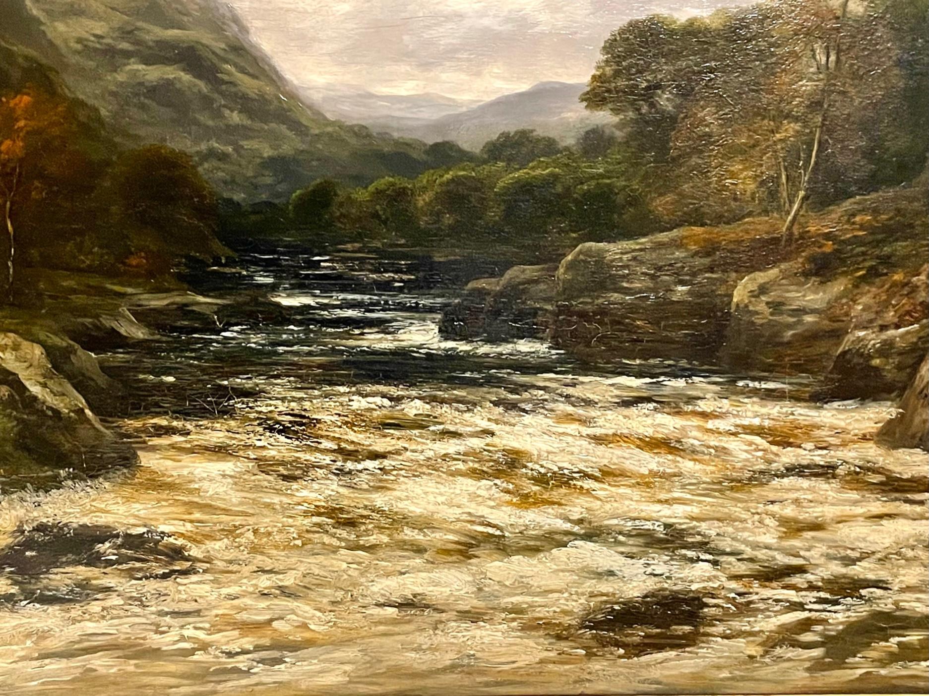 Fiume Highland in piena in vendita 1