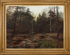 Woodland Scene