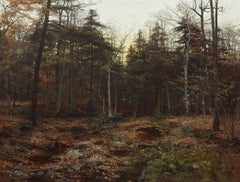 Woodland Scene