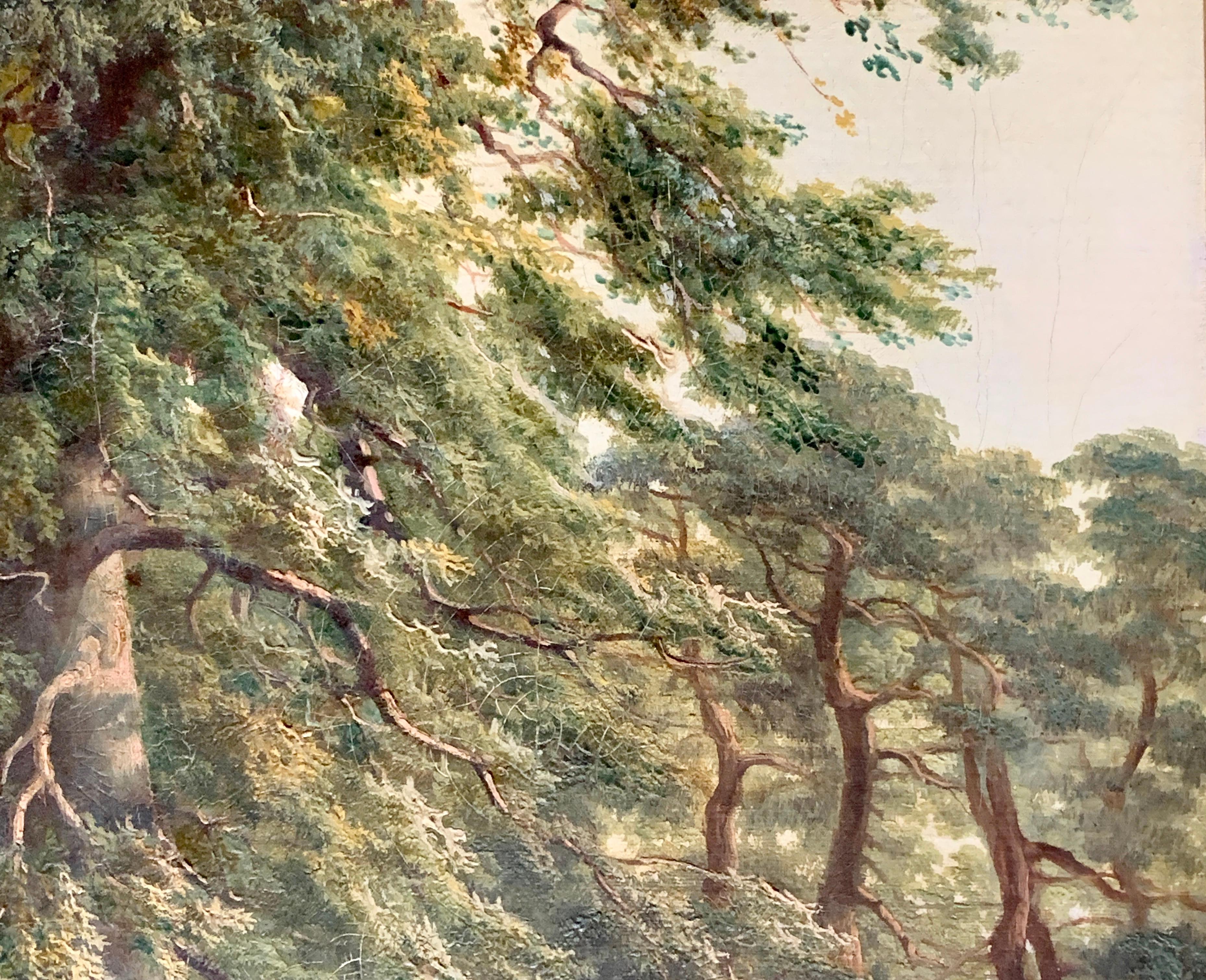 English 19th century forest landscape with horses in the New Forest Hampshire UK For Sale 1