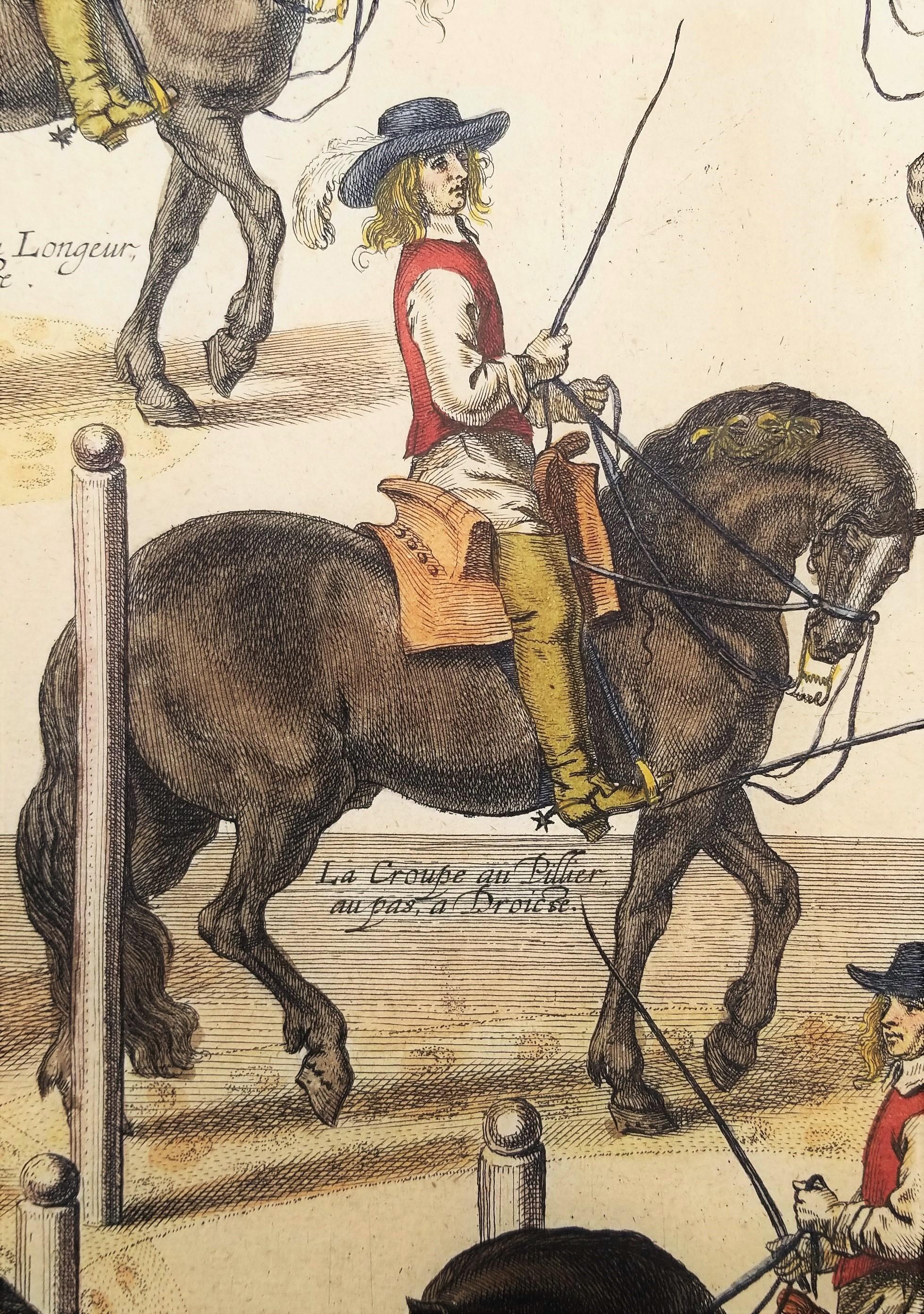 El Capitán Mazin Cabalga, y el Marqués Da la Lección /// Arte Ecuestre con Caballos en venta 5