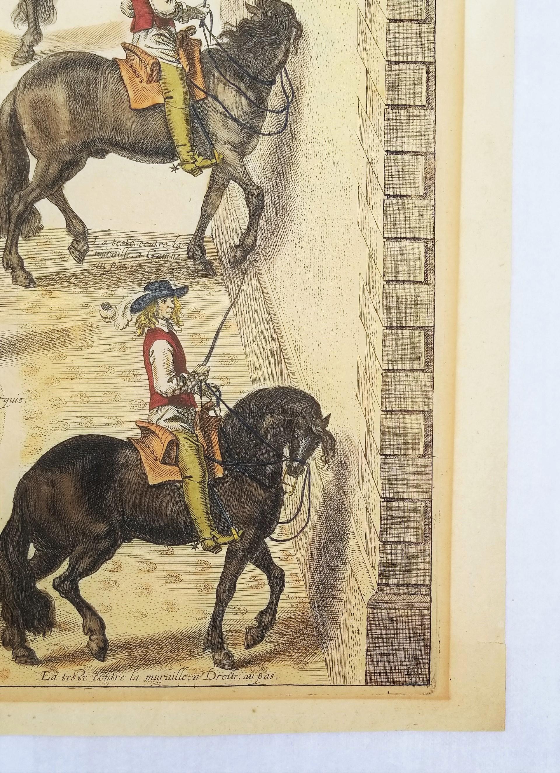 El Capitán Mazin Cabalga, y el Marqués Da la Lección /// Arte Ecuestre con Caballos en venta 2
