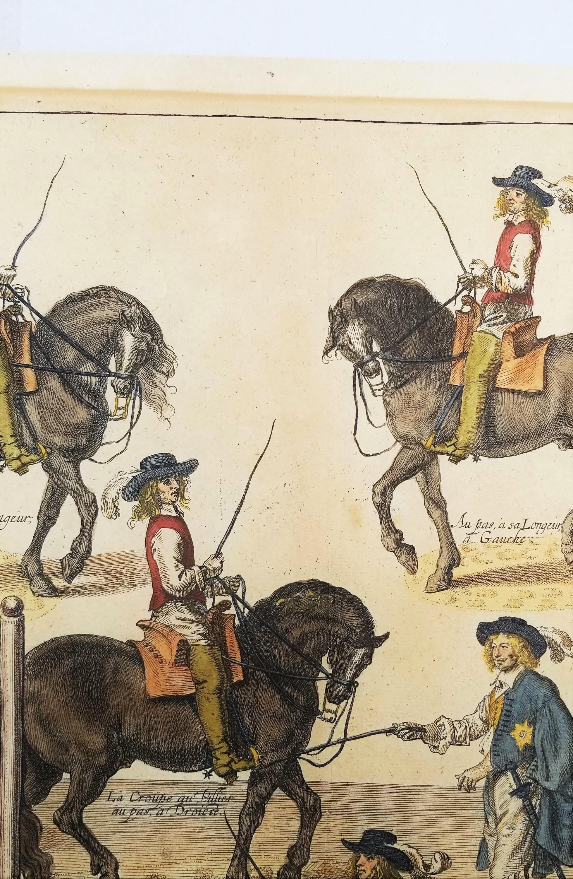 El Capitán Mazin Cabalga, y el Marqués Da la Lección /// Arte Ecuestre con Caballos en venta 3