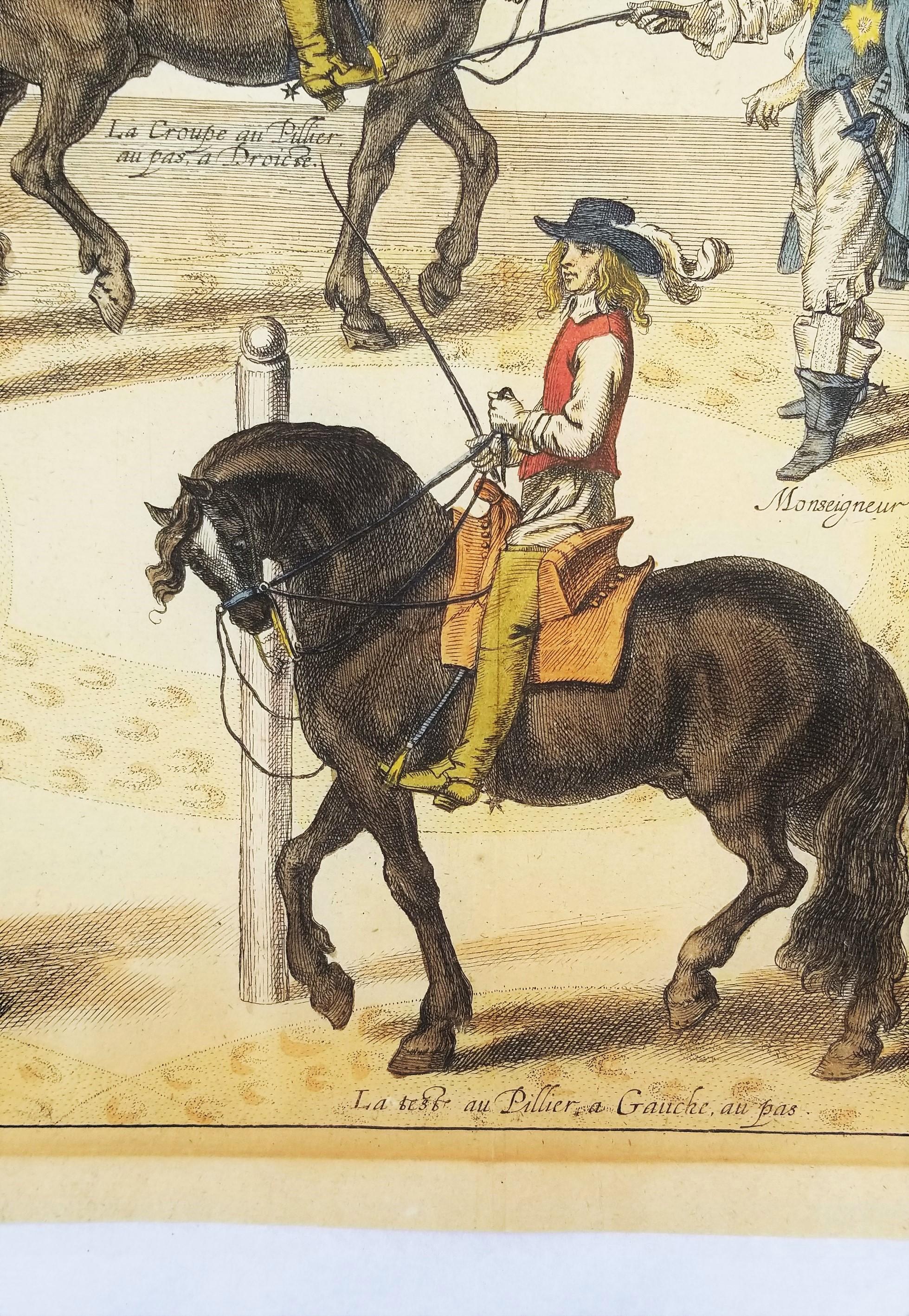 El Capitán Mazin Cabalga, y el Marqués Da la Lección /// Arte Ecuestre con Caballos en venta 4