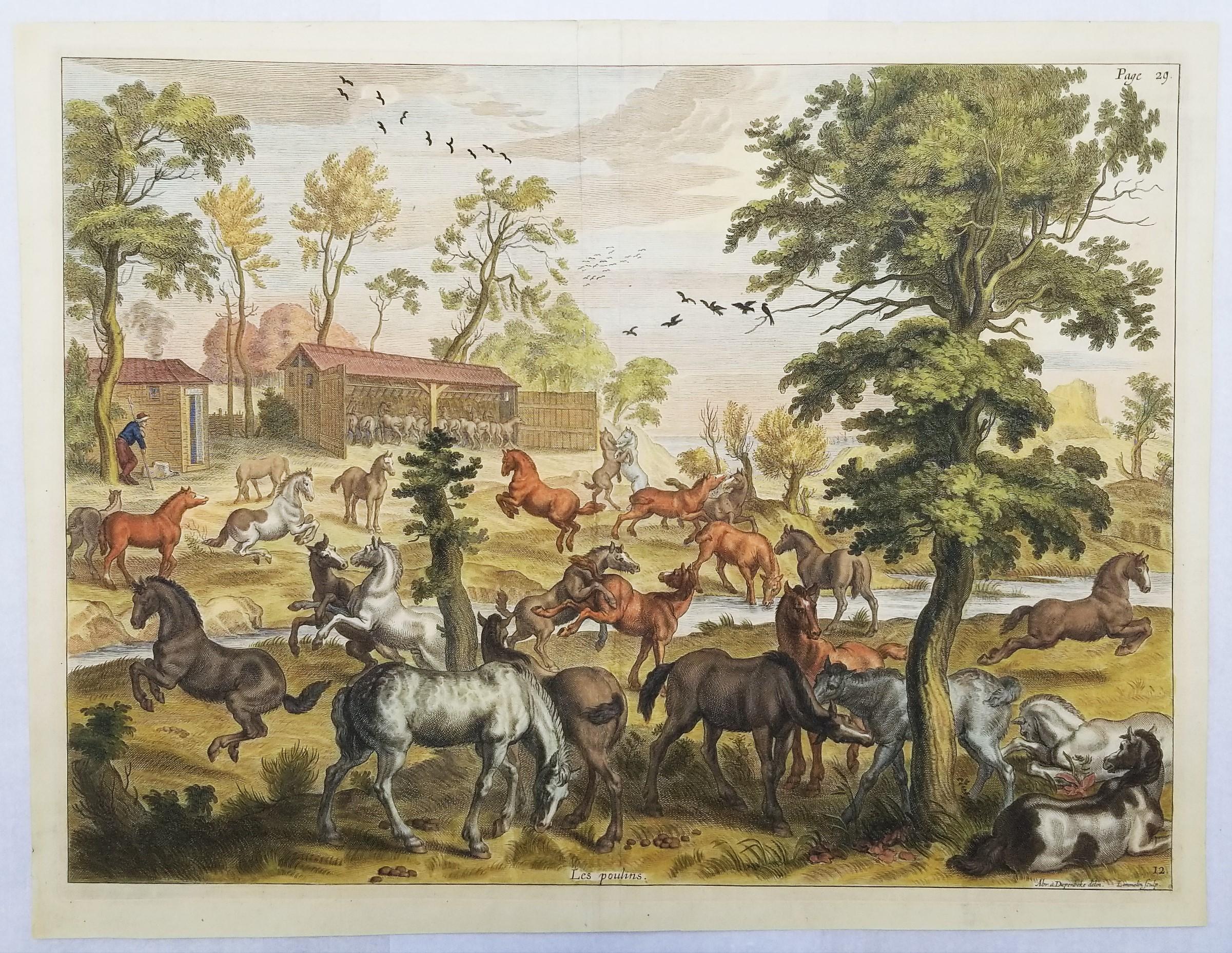 Les Poulins (Die Früchte) /// Reiterpferd, Tierlandschaft, alte Meister, Niederländisch (Alte Meister), Print, von William Cavendish