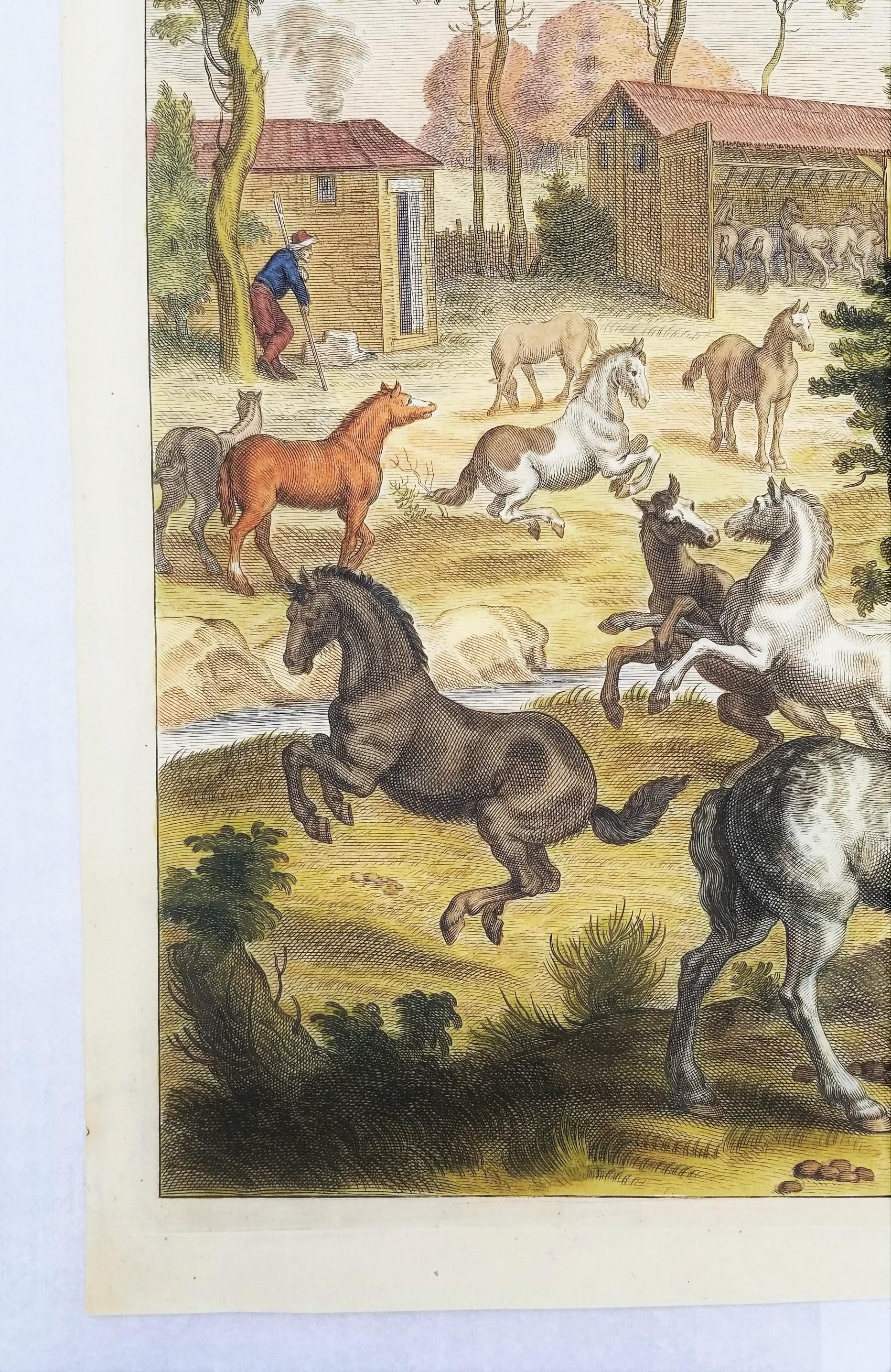 Les Poulins (Die Früchte) /// Reiterpferd, Tierlandschaft, alte Meister, Niederländisch (Braun), Animal Print, von William Cavendish