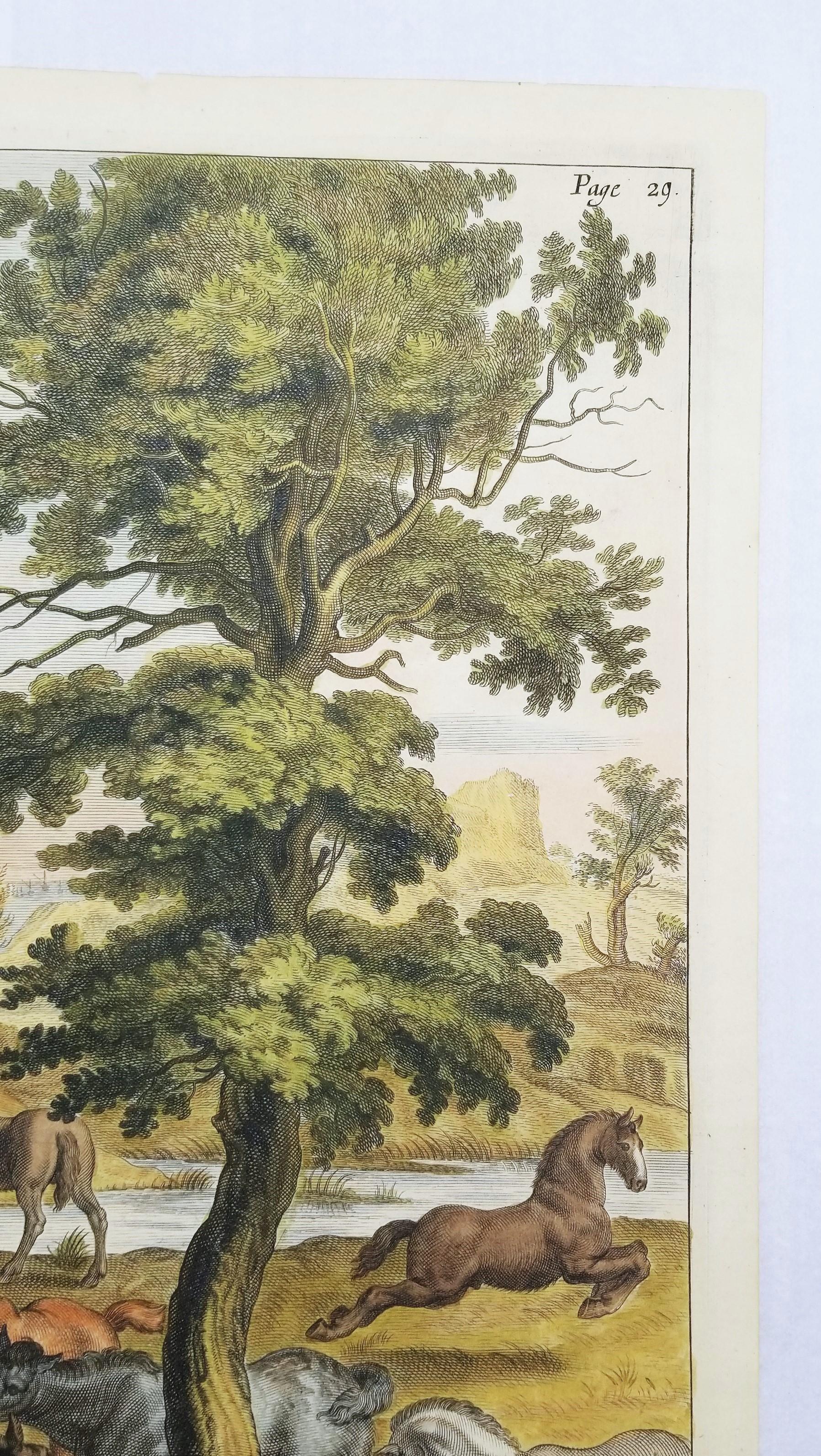 Les Poulins (Die Früchte) /// Reiterpferd, Tierlandschaft, alte Meister, Niederländisch 1