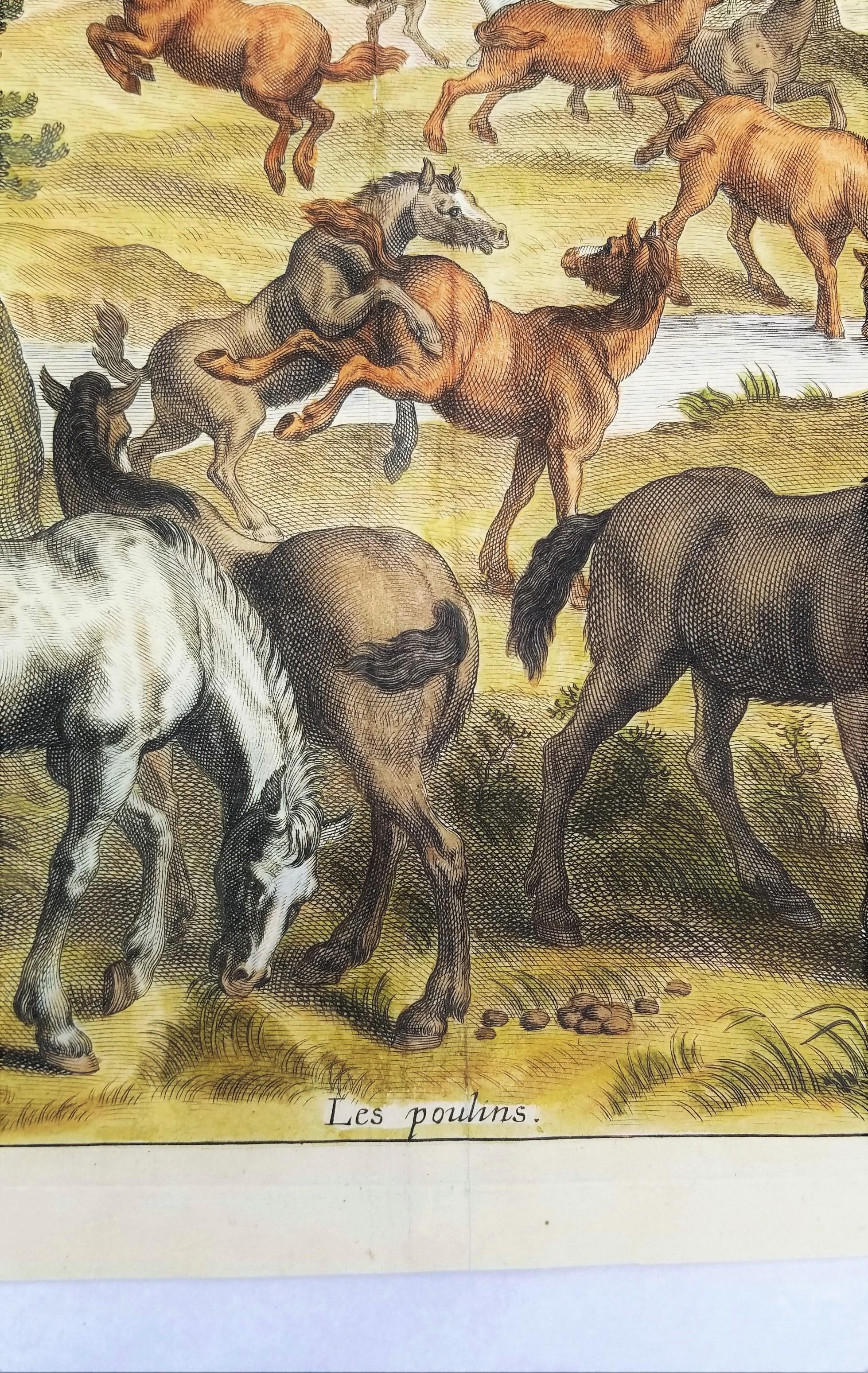 Les Poulins (Die Früchte) /// Reiterpferd, Tierlandschaft, alte Meister, Niederländisch 4
