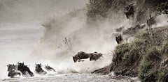 15x30 Zoll" Preisgekröntes Foto von Wildlife – Wildebeest Migration, Courage (Kenya) 