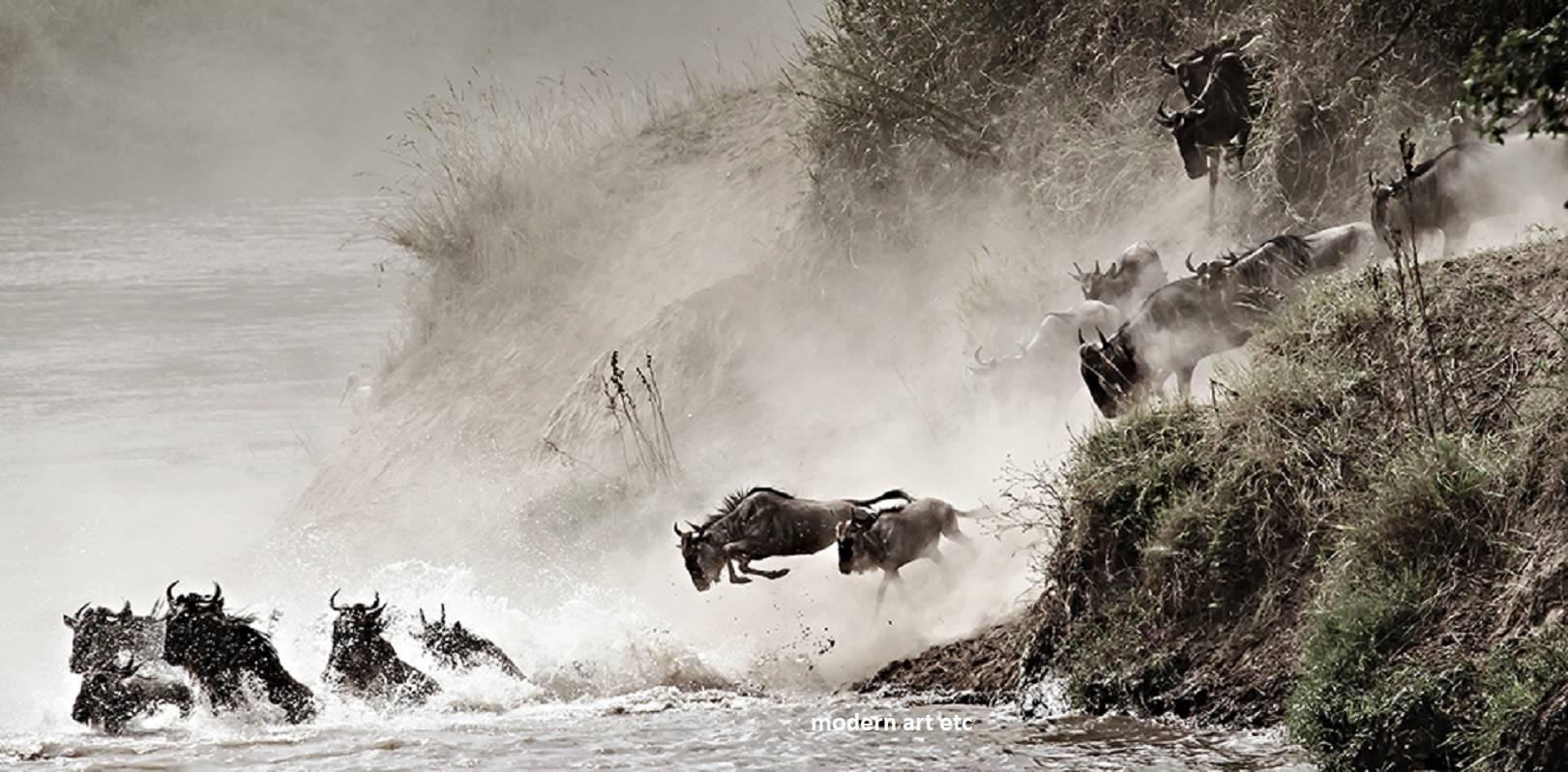 William Chua Black and White Photograph - Award winning Wildlife art photo - Wildebeest Migration, Courage (Kenya) 15x30"