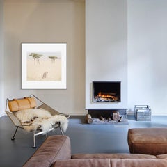 Cheetah n.1 (Kenya) - 20 x 24 in.