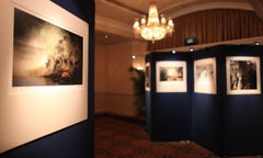 "Zebras - Camouflage" (wildlife art photography) - unframed