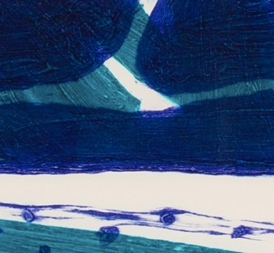 Meon Shore II - Estampa abstracta azul y blanca del siglo XX por William Crozier en venta 9