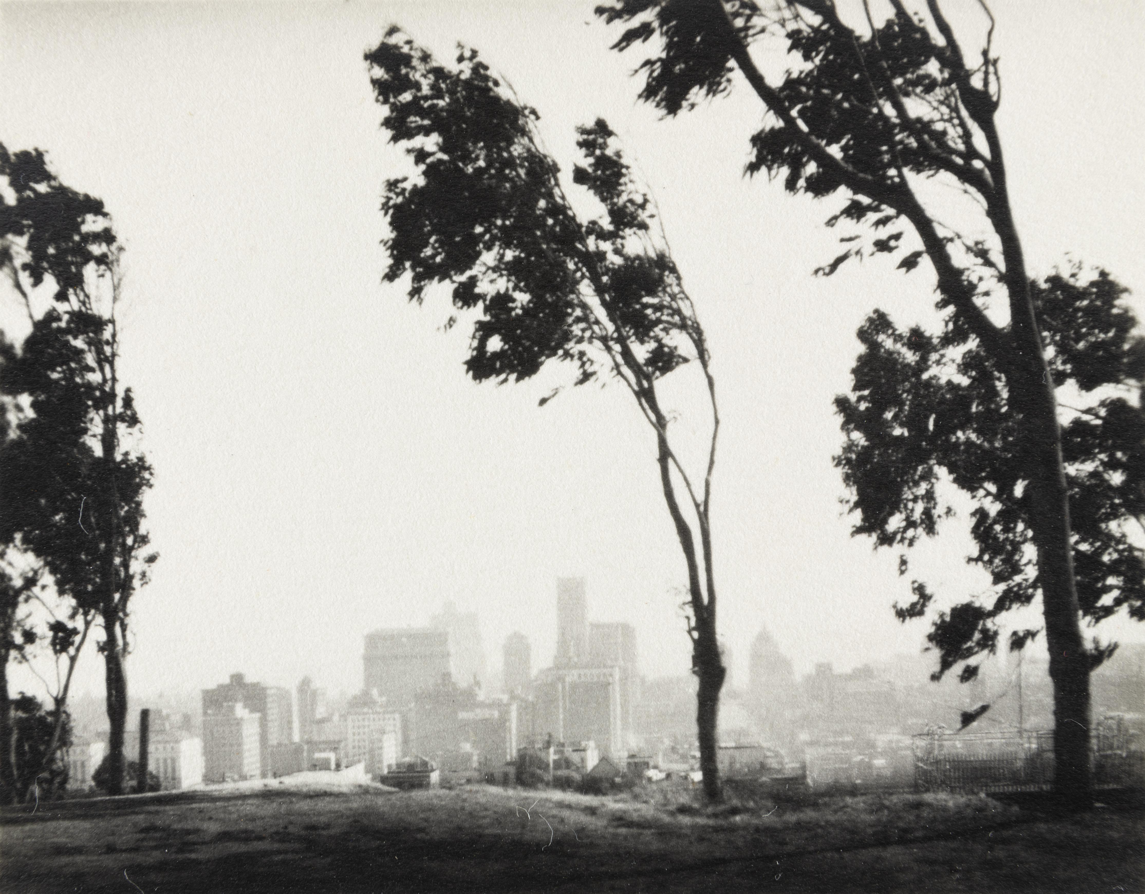 Von Telegraph Hill in San Francisco aus