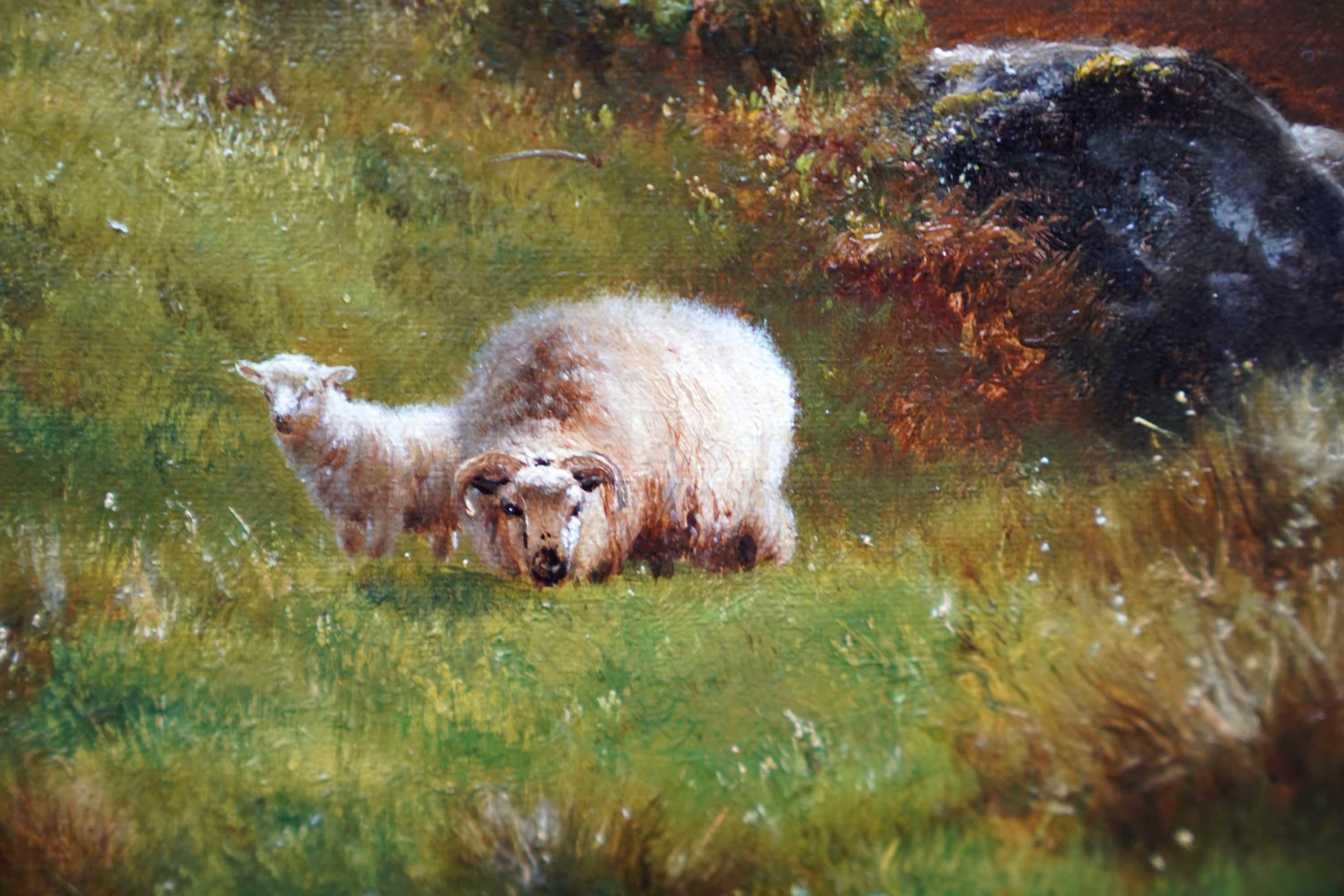 Ovejas en paisaje Loch Restil Glen Croe 1895 - Óleo victoriano británico en venta 3