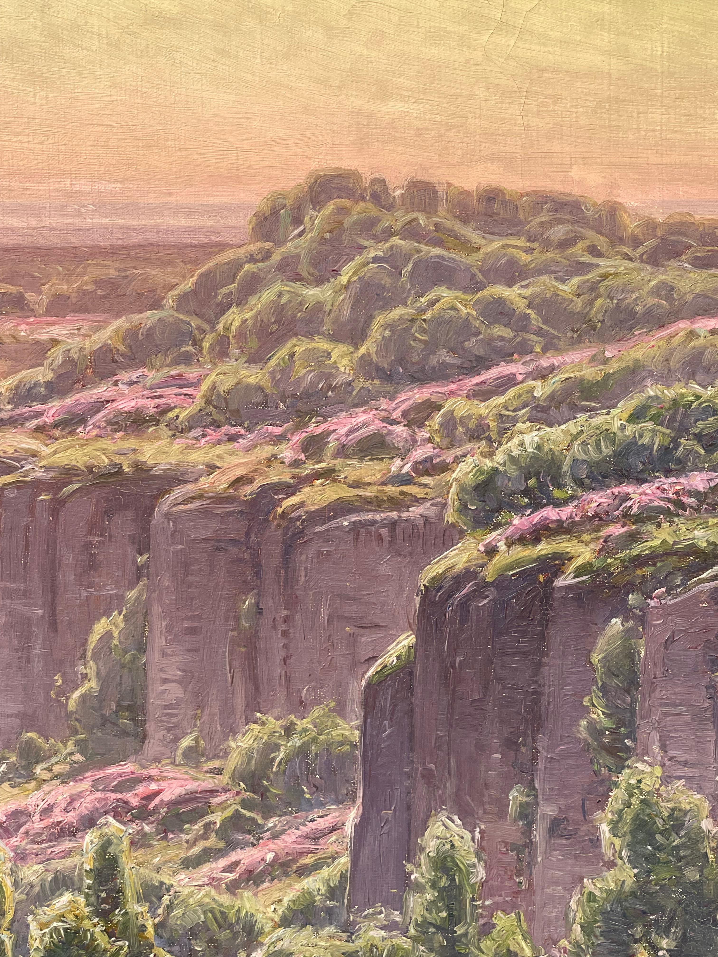 William Didier-Pouget - Morgennebel, blühendes Heidekraut - Dordogne-Tal im Angebot 3