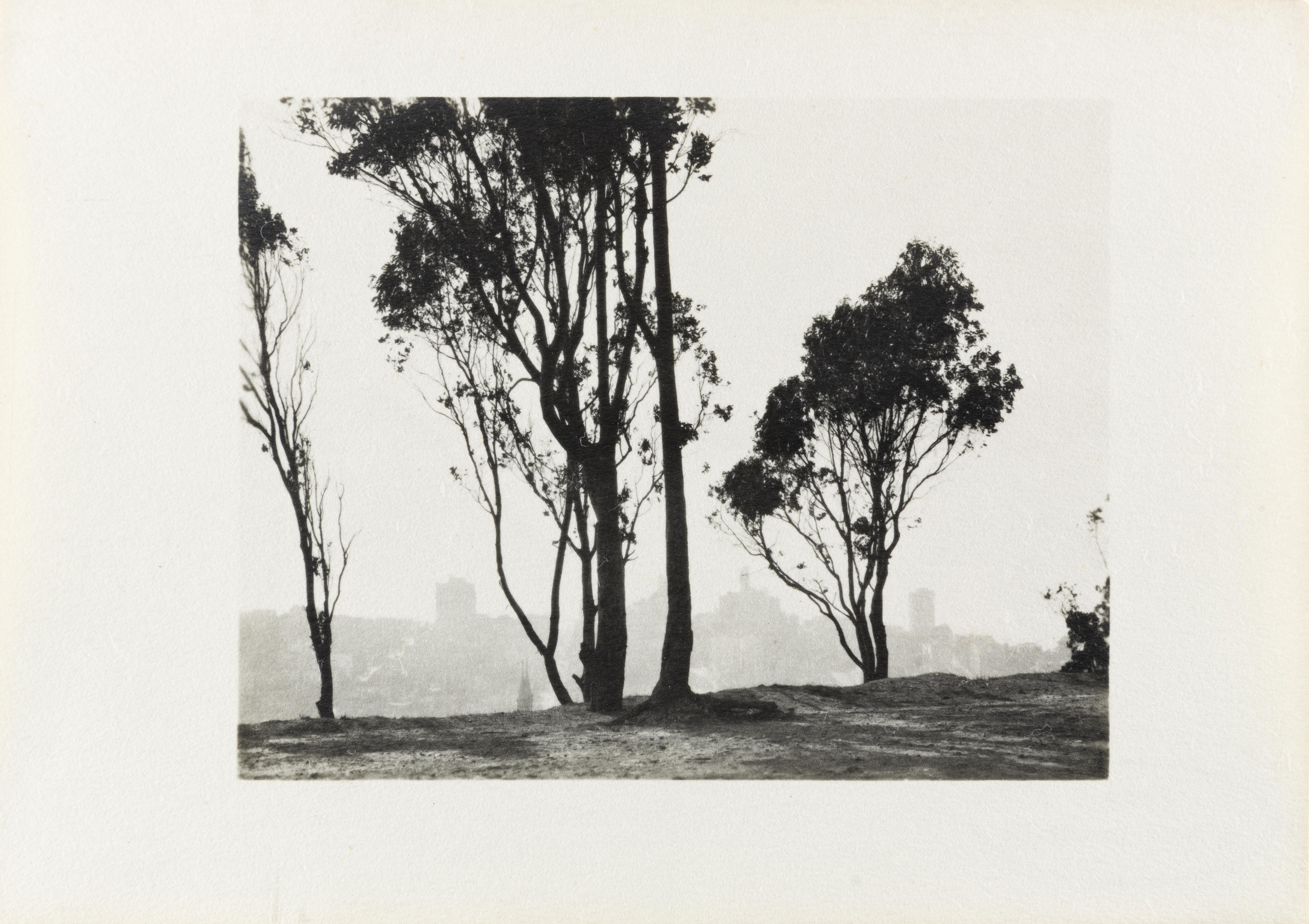 Von Telegraph Hill in San Francisco aus – Photograph von William E. Dassonville