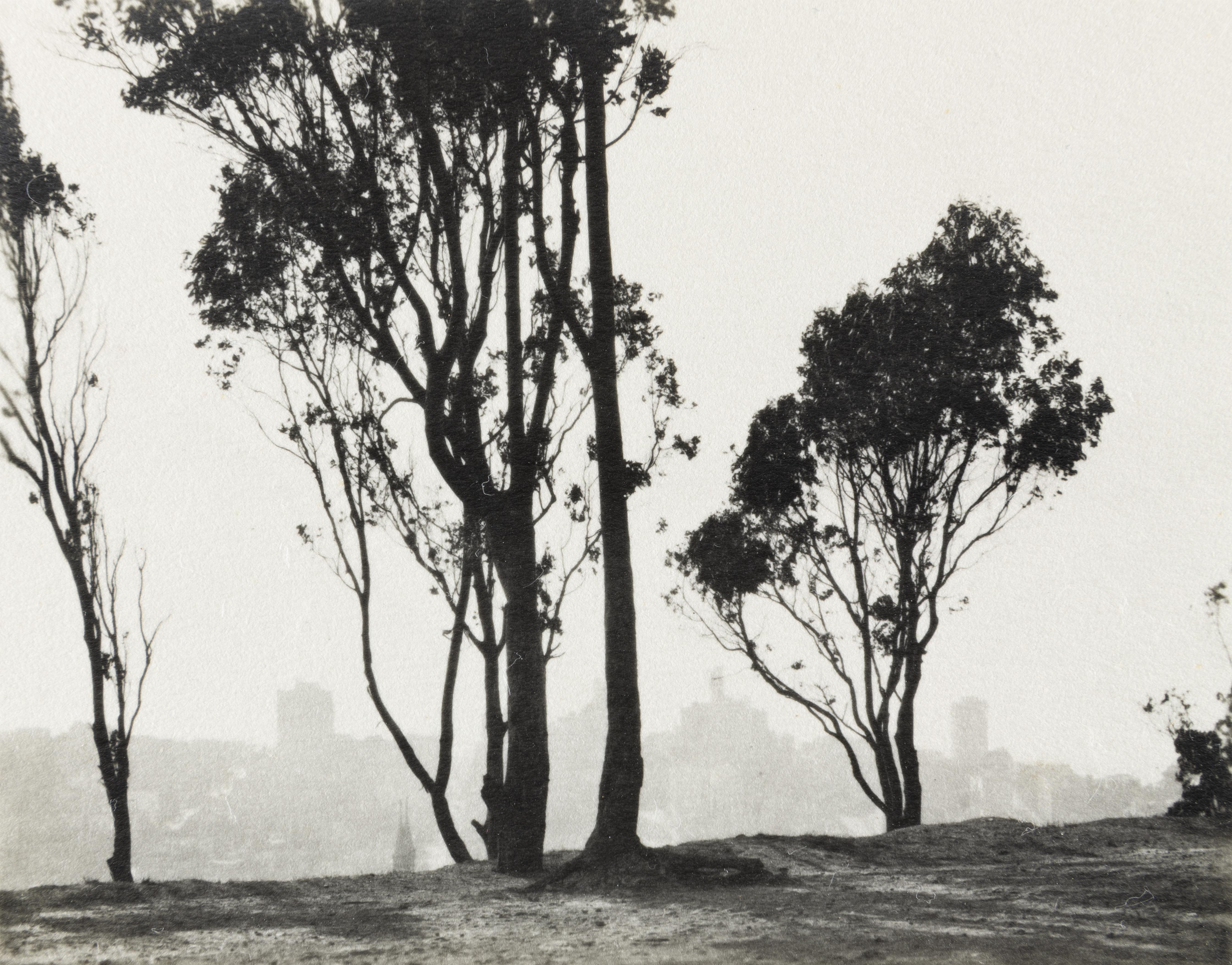 William E. Dassonville Landscape Photograph – Von Telegraph Hill in San Francisco aus