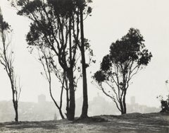 San Francisco de Telegraph Hill