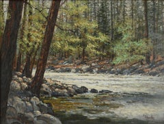 Forest Stream Landscape