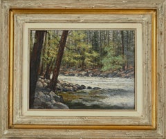 Forest Stream Landscape