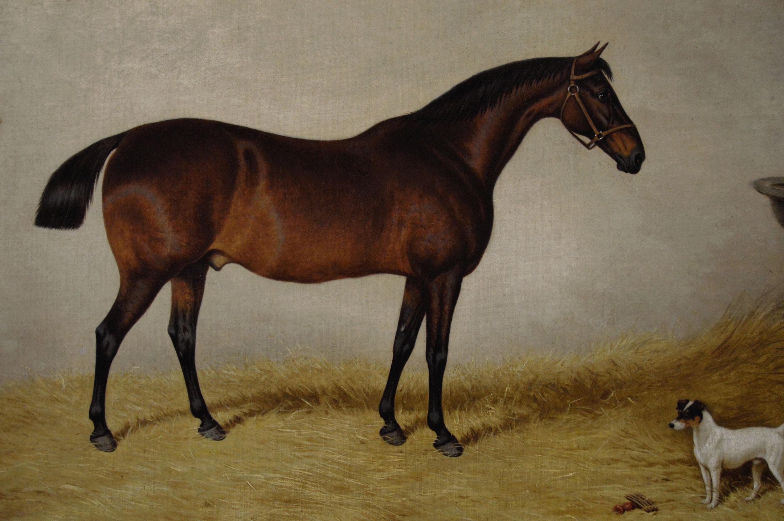 19th Century sporting horse portrait oil painting of a bay horse & terrier - Victorian Painting by William Eddowes Turner