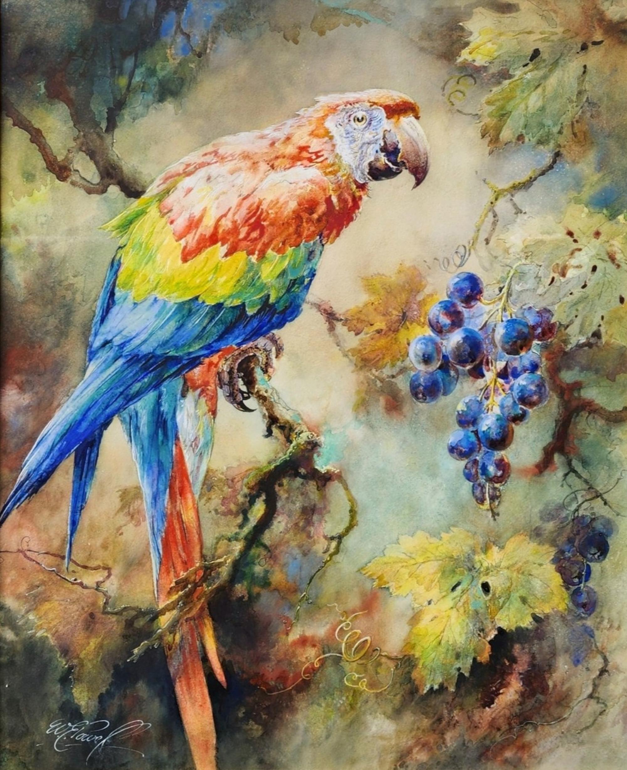 Contemplation, 1910, Macaw écarlate, Ornithologie, Naturalist, Portrait d'oiseau - Painting de William Edward Powell