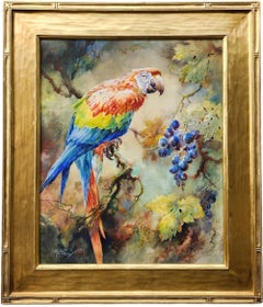 Contemplazione, Ara Scarlatta del 1910, Ornitologia, Naturalista, Ritratto di uccelli