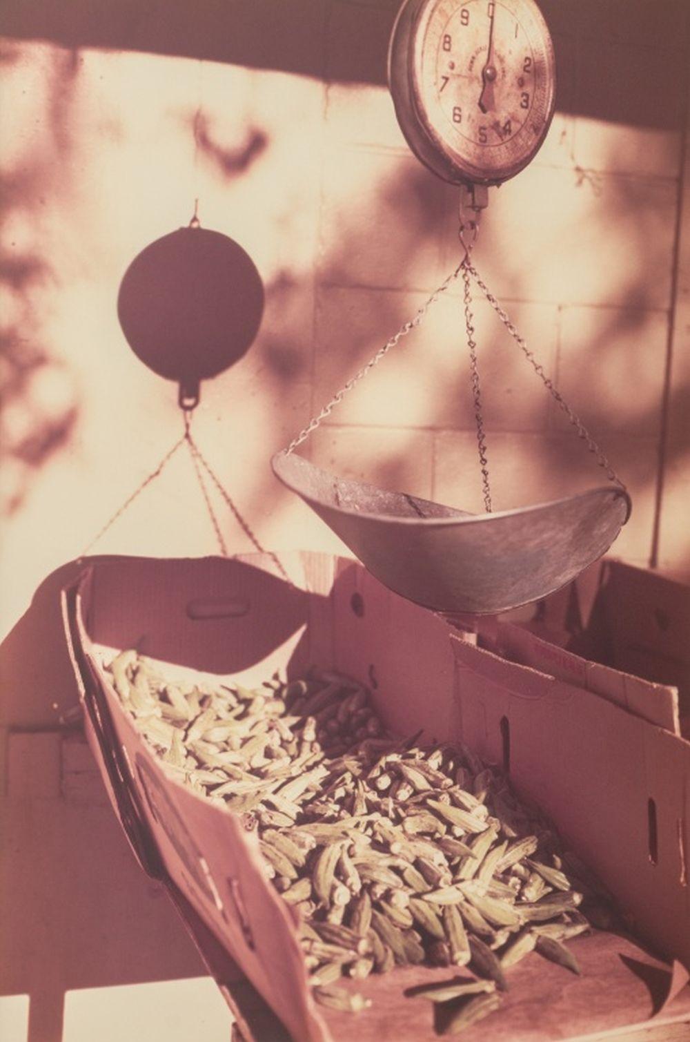 Scala di gombo - Photograph di William Eggleston