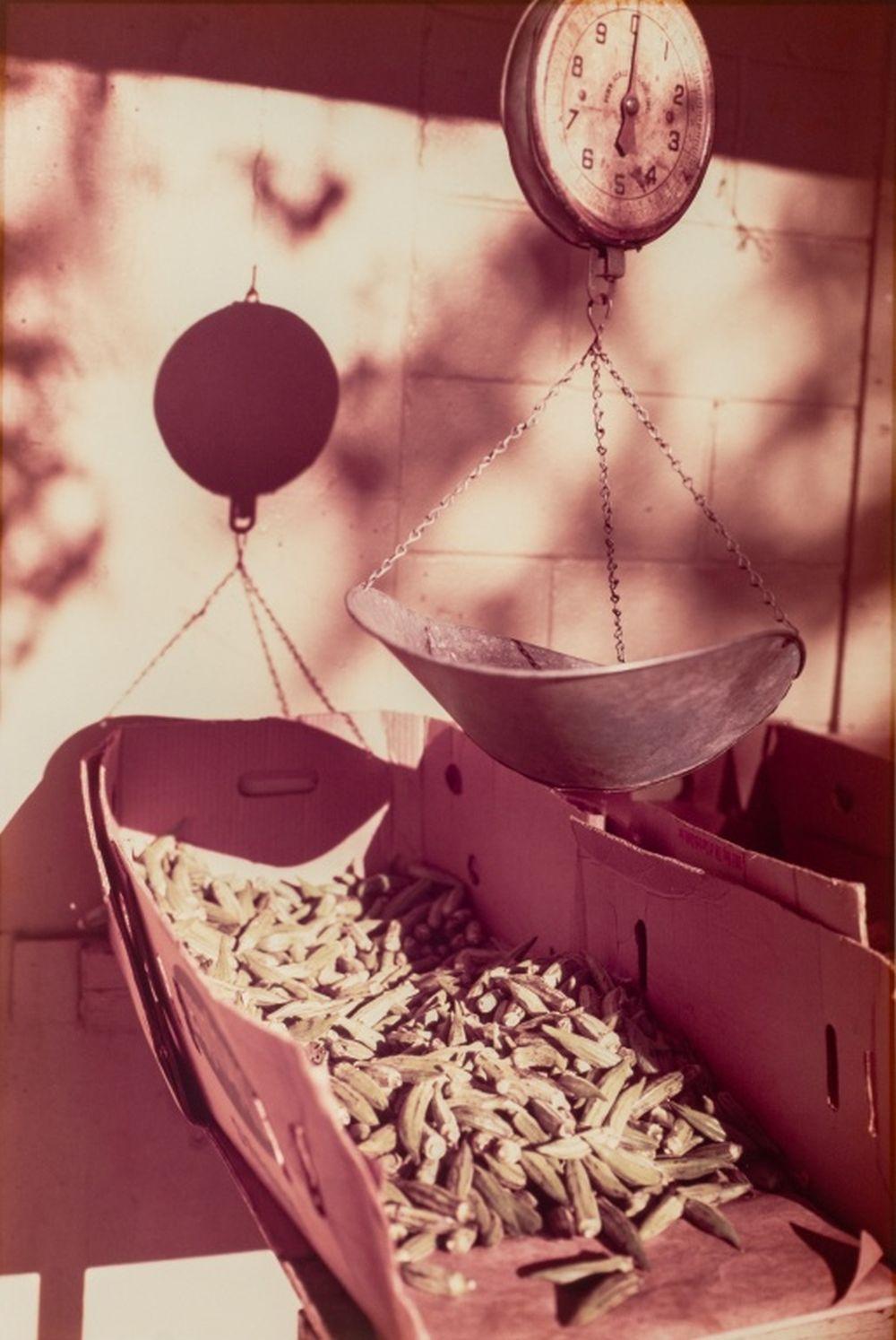 Scala di gombo - Color Photograph Beige di William Eggleston