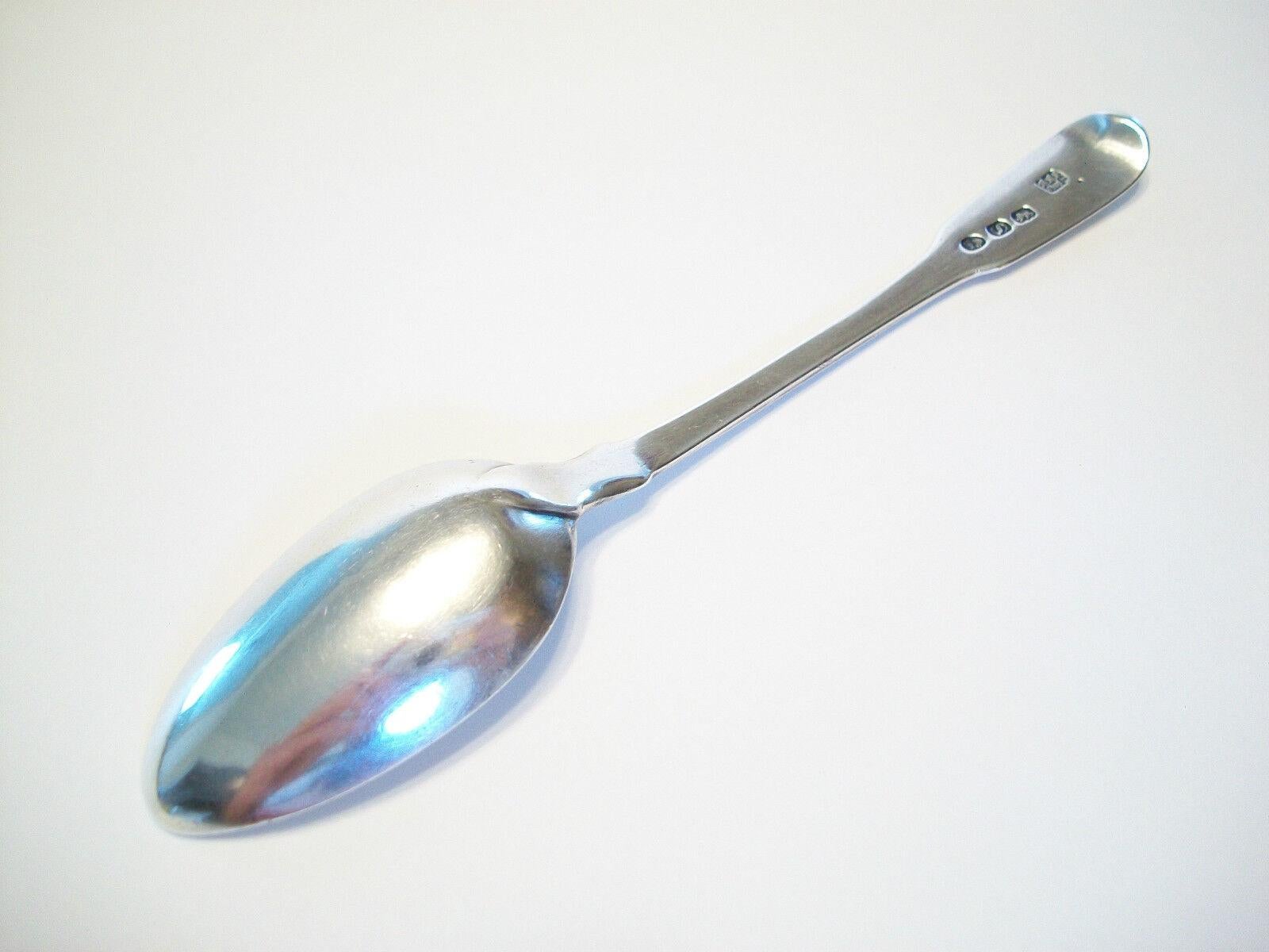 19th Century WILLIAM ELEY - George III Sterling Silver Tea/Dessert Spoon - U.K. - Circa 1813 For Sale